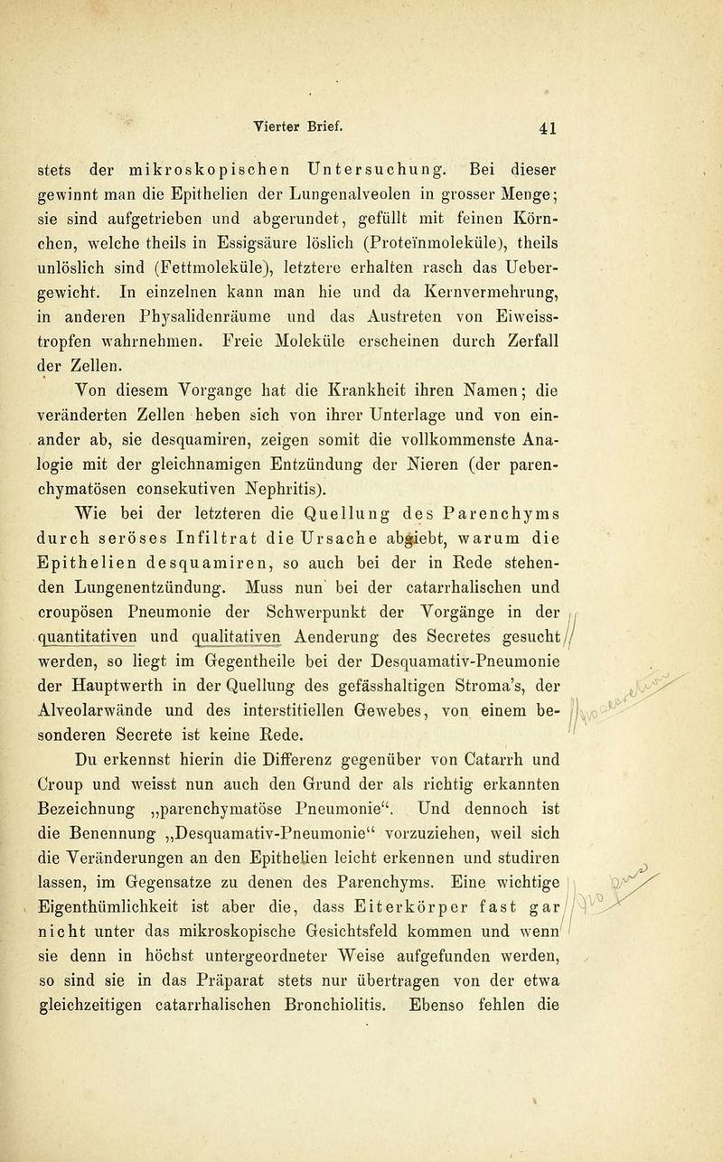stets der mikroskopischen Untersuchung. Bei dieser gewinnt man die Epithelien der Lungenalveolen in grosser Menge; sie sind aufgetrieben und abgerundet, gefüllt mit feinen Körn- chen, welche theils in Essigsäure löslich (Proteinmoleküle), theils unlöslich sind (Fettmoleküle), letztere erhalten rasch das Ueber- gewicht. In einzelnen kann man hie und da Kernvermehrung, in anderen Physalidenräume und das Austreten von Eiweiss- tropfen wahrnehmen. Freie Moleküle erscheinen durch Zerfall der Zellen. Yon diesem Vorgänge hat die Krankheit ihren Namen; die veränderten Zellen heben sich von ihrer Unterlage und von ein- ander ab, sie desquamiren, zeigen somit die vollkommenste Ana- logie mit der gleichnamigen Entzündung der Nieren (der paren- chymatösen consekutiven Nephritis). Wie bei der letzteren die Quellung des Parenchyms durch seröses Infiltrat die Ursache abgiebt, warum die Epithelien desquamiren, so auch bei der in Rede stehen- den Lungenentzündung. Muss nun bei der catarrhalischen und croupösen Pneumonie der Schwerpunkt der Vorgänge in der quantitativen und qualitativen Aenderung des Secretes gesucht werden, so liegt im Gegentheile bei der Desquamativ-Pneumonie der Hauptwerth in der Quellung des gefässhaltigen Stroma's, der Alveolarwände und des interstitiellen Gewebes, von einem be- sonderen Secrete ist keine Rede. Du erkennst hierin die Differenz gegenüber von Catarrh und Croup und weisst nun auch den Grund der als richtig erkannten Bezeichnung ,,parenchymatöse Pneumonie. Und dennoch ist die Benennung „Desquamativ-Pneumonie vorzuziehen, weil sich die Veränderungen an den Epithelien leicht erkennen und studiren lassen, im Gegensatze zu denen des Parenchyms. Eine wichtige Eigenthümlichkeit ist aber die, dass Eiterkörper fast gar nicht unter das mikroskopische Gesichtsfeld kommen und wenn' sie denn in höchst untergeordneter Weise aufgefunden werden, so sind sie in das Präparat stets nur übertragen von der etwa gleichzeitigen catarrhalischen Bronchiolitis. Ebenso fehlen die