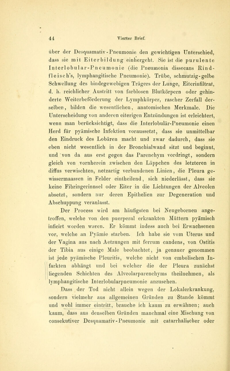 über der Desquamativ-Pneumonie den gewichtigen Unterschied, dass sie mit Eiterbildung einhergeht. Sie ist die purulente Interlobular-Pneumonie (die Pneumonia dissecans Rind- fleisch's, lymphangitische Pneumonie). Trübe, schmutzig-gelbe Schwellung des bindegewebigen Trägers der Lunge, Eiterinfiltrat, d. h. reichlicher Austritt von farblosen Blutkörpern oder gehin- derte Weiterbeförderung der Lymphkörper, rascher Zerfall der- selben, bilden die wesentlichen, anatomischen Merkmale. Die Unterscheidung von anderen eiterigen Entzündungen ist erleichtert, wenn man berücksichtigt, dass die Literlobulär-Pneumonie einen Herd für pyämische Infektion voraussetzt, dass sie unmittelbar den Eindruck des Lobären macht und zwar dadurch, dass sie eben nicht wesentlich in der Bronchialwand sitzt und beginnt, und von da aus erst gegen das Parenchym vordringt, sondern gleich von vornherein zwischen den Läppchen des letzteren in diffus verwischten, netzartig verbundenen Linien, die Pleura ge- wissermaassen in Felder eintheilend, sich niederlässt, dass sie keine Fibringerinnsel oder Eiter in die Lichtungen der Alveolen absetzt, sondern nur deren Epithelien zur Degeneration und Abschuppung veranlasst. Der Process wird am häufigsten bei Neugebornen ange- troffen, welche von den puerperal erkrankten Müttern pyämisch inficirt worden waren. Er kömmt indess auch bei Erwachsenen vor, welche an Pyämie starben. Ich habe sie vom Uterus und der Yagina aus nach Aetzungen mit ferrum candens, von Ostitis der Tibia aus einige Male beobachtet, ja genauer genommen ist jede pyämische Pleuritis, welche nicht von embolischen In- farkten abhängt und bei welcher die der Pleura zunächst i liegenden Schichten des Alveolarparenchyms theilnehmen, als lymphangitische Interlobularpneumonie anzusehen. Dass der Tod nicht allein wegen der Lokalerkrankung, sondern vielmehr aus allgemeinen Gründen zu Stande kömmt und wohl immer eintritt, brauche ich kaum zu erwähnen; auch kaum, dass aus denselben Gründen manchmal eine Mischung von consekutiver Desquamativ-Pneumonie mit catarrhalischer oder i
