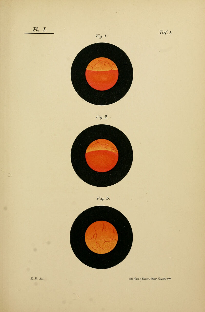 Fia. 1. Taf.I. Fig.2. Fig. 3.