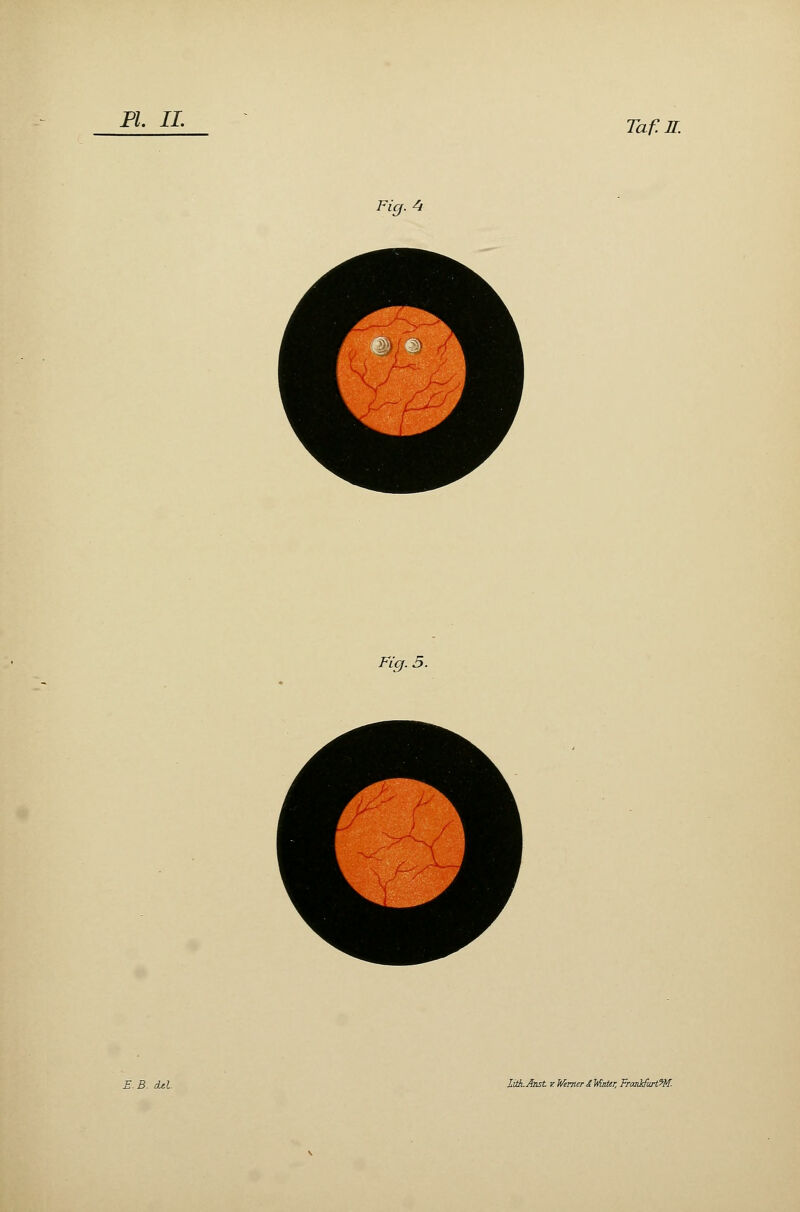 Taf.U. Fig. A Fig. 5.