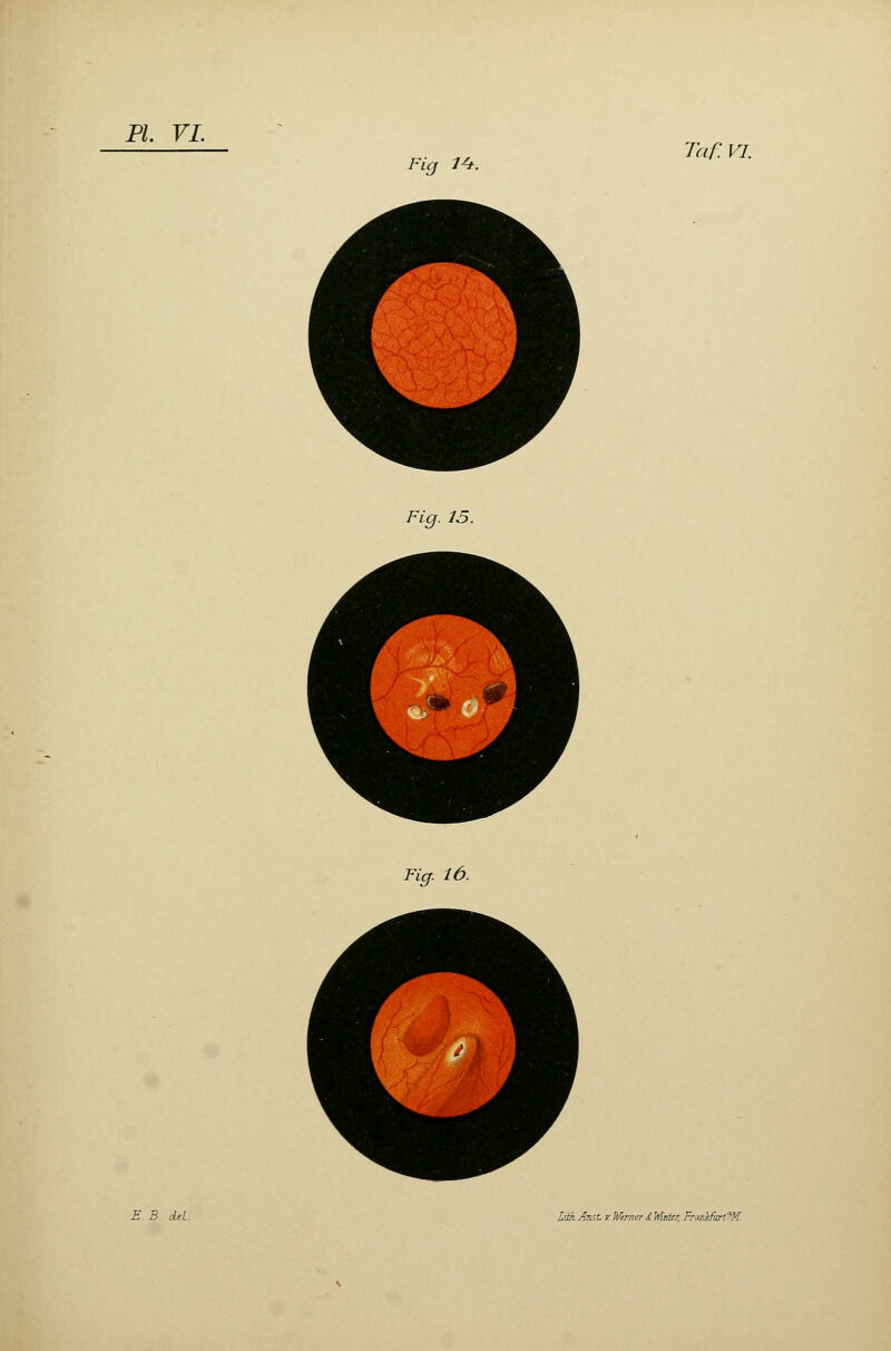 PI. VI. Fig l*t. Taf. VI. Fig. 15. Fig. 10.