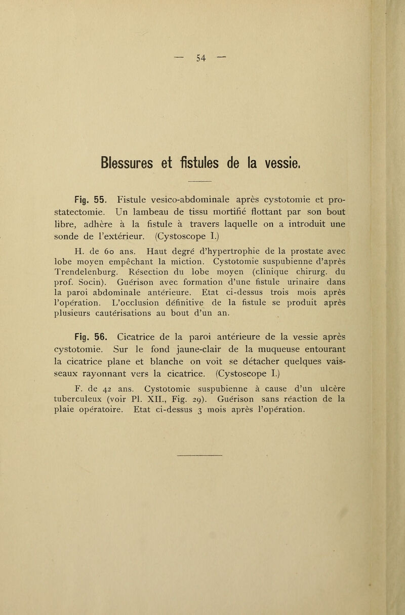 54 — Blessures et fistules de la vessie. Fig. 55. Fistule vesico-abdominale après cystotomie et pro- statectomie. Un lambeau de tissu mortifié flottant par son bout libre, adhère à la fistule à travers laquelle on a introduit une sonde de l'extérieur. (Cystoscope I.) H. de 60 ans. Haut degré d'hypertrophie de la prostate avec lobe moyen empêchant la miction. Cystotomie suspubienne d'après Trendelenburg. Résection du lobe moyen (clinique chirurg. du prof. Socin). Guérison avec formation d'une fistule urinaire dans la paroi abdominale antérieure. Etat ci-dessus trois mois après l'opération. L'occlusion définitive de la fistule se produit après plusieurs cautérisations au bout d'un an. Fig. 56. Cicatrice de la paroi antérieure de la vessie après cystotomie. Sur le fond jaune-clair de la muqueuse entourant la cicatrice plane et blanche on voit se détacher quelques vais- seaux rayonnant vers la cicatrice. (Cystoscope I.) F. de 42 ans. Cystotomie suspubienne à cause d'un ulcère tuberculeux (voir PI. XII., Fig. 29). Guérison sans réaction de la plaie opératoire. Etat ci-dessus 3 mois après l'opération.