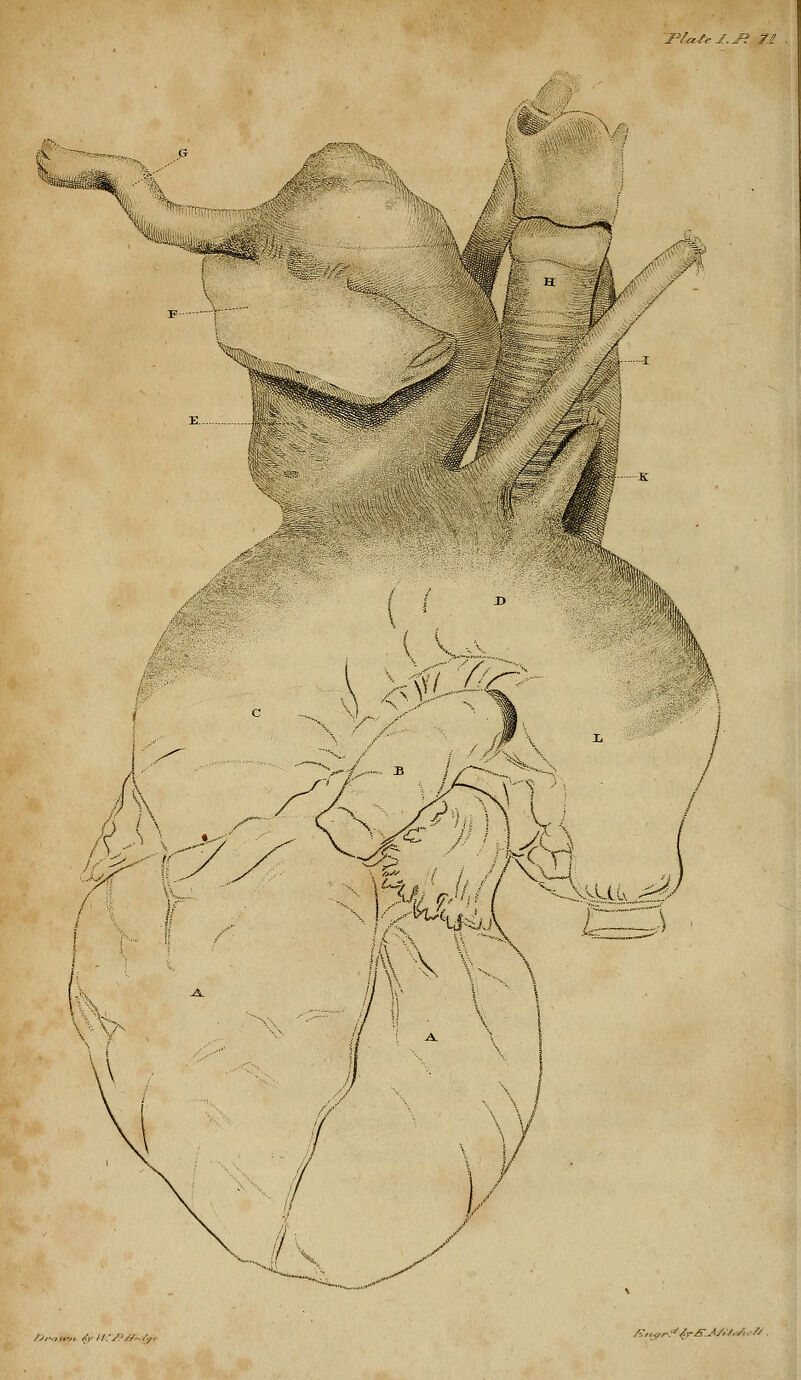 l^a.tel.jR fc- J- & /./kCyI. I I V y ^ /j,■,!■■-, ,:,//:/',/-,/.,.