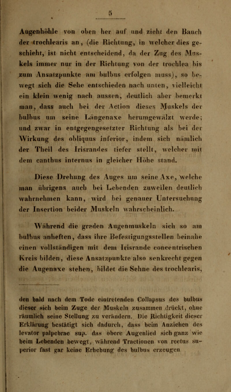 Augenhöhle von oben her auf und zieht den Bauch der trochlearis an, (die Richtung, in welcher dies ge- schieht, ist nicht entscheidend, da der Zug des Mas- keis immer nur in der Richtung von der trochlea his zum Ansatzpunkte am hulbus erfolgen muss), so be- wegt sich die Sehe entschieden nach unten, vielleicht ein klein wenig nach aussen, deutlich aber bemerkt man, dass auch bei der Action dieses IVIuskels der bulbus um seine Längenaxe herumgewalzt werde; und zwar in entgegengesetzter Richtung als bei der Wirkung des obliquus inferior, indem sich nämlich der Theil des Irisrandes tiefer stellt, welcher mit dem canthus internus in gleicher Höhe stand. Diese Drehung des Auges um seine Axe, welche man übrigens auch bei Lebenden zuweilen deutlich wahrnehmen kann, wird bei genauer Untersuchung der Insertion beider Muskeln wahrscheinlich. Während die graden Augenmuskeln sich so am bulbus anheften, dass ihre Befestigungsstellen beinahe einen vollständigen mit dem Irisrande concentrischen Kreis bilden, diese Ansatzpunkte also senkrecht gegen die Augenaxe stehen, bildet die Sehne des trochlearis, den bald nach dein Tode eintretenden ColJapsus des bulbus dieser sich beim Zuge der Muskeln zusammen drückt, ohne raumlich seine Stellung zu verändern. Die Richtigkeit dieser Erklärung bestätigt sich dadurch, dass beim Anziehen des levator palpebrae sup. das obere Augenlied sich ganz wie beim Lebenden bewegt, während Tractionen von rectus su- perior fast gar keine Erhebung des bulbus erzeugen