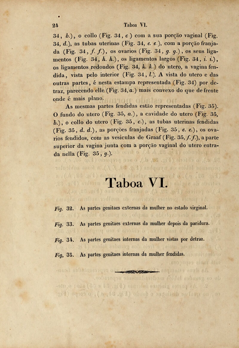 34, ò.)> o collo (Fig. 34, c) com a sua porção vaginal (Fig. 34, d.), as tubas uterinas (Fig. 34, e. e.), com a porção franja- da (Fig. 34, /. /.), os ovários (Fig. 34, g. g.) , os seus liga- mentos (Fig. 34, h. h.), os ligamentos largos (Fig. 34, i. u), os ligamentos redondos (Fig. 34, k. k.) do útero, a vagina fen- dida, vista pelo interior (Fig. 34, /.). A vista do útero e das outras partes, é nesta estampa representada (Fig. 34) por de- traz, parecendo elle (Fig. 34, a.) mais convexo do que de frente onde é mais plano. As mesmas partes fendidas estão representadas (Fig. 35). O fundo do útero (Fig. 35, a.), a cavidade do útero (Fig. 35, Z>.), o collo do útero (Fig. 35, c), as tubas uterinas fendidas (Fig. 35, d. d.), as porções franjadas (Fig. 35, e. e.), os ová- rios fendidos, com as vesiculas de Graaf (Fig. 35,/./.), aparte superior da vagina junta com a porção vaginal do útero entra- da nella (Fig. 35 , g.). Taboa VI. Fig. 32. As partes genitaes externas da mulher no estado virginal. Fig. 33. As partes genitaes externas da mulher depois da paridura. Fig. 34. As partes genitaes internas da mulher vistas por detrai.