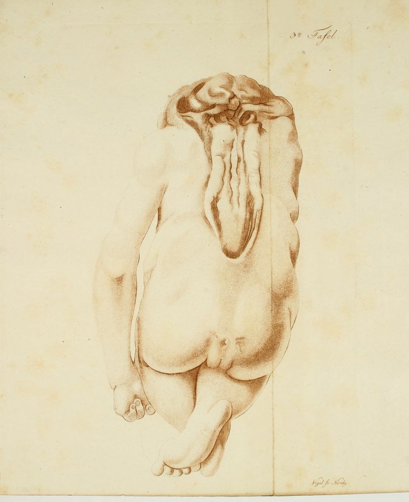 ■} ^ . ^, .J>r> /j,y/ J^: