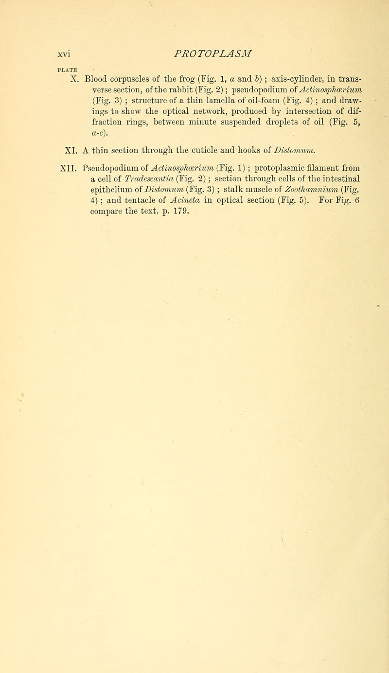 PLATE X. Blood corpuscles of the frog (Fig. 1, a and b); axis-cylinder, in trans- verse section, of the rabbit (Fig. 2); pseudopodium of Actinosphcerium (Fig. 3) ; structure of a thin lamella of oil-foam (Fig. 4) ; and draw- ings to show the optical network, produced by intersection of dif- fraction rings, between minute suspended droplets of oil (Fig. 5, a-c). XI. A thin section through the cuticle and hooks of Distomum. XII. Pseudopodium of Actinosphcerium (Fig. 1); protoplasmic filament from a cell of Tradescantia (Fig. 2); section through cells of the intestinal epithelium of Distomum (Fig. 3) ; stalk muscle of Zootliamnium (Fig. 4) ; and tentacle of Acineta in optical section (Fig. 5). For Fig. 6 compare the text, p. 179.