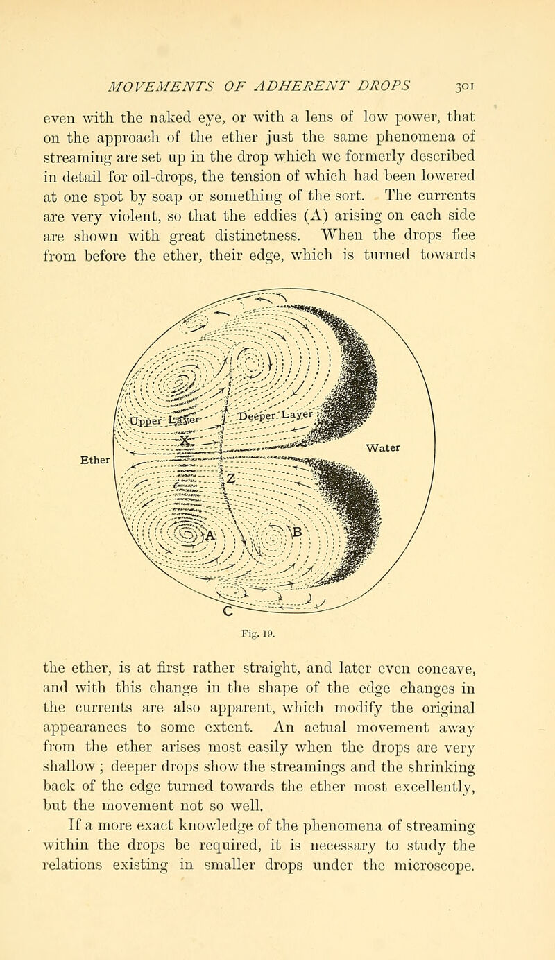 even with the naked eye, or with a lens of low power, that on the approach of the ether just the same phenomena of streaming are set up in the drop which we formerly described in detail for oil-drops, the tension of which had been lowered at one spot by soap or something of the sort. The currents are very violent, so that the eddies (A) arising on each side are shown with great distinctness. When the drops flee from before the ether, their edge, which is turned towards Ether the ether, is at first rather straight, and later even concave, and with this change in the shape of the edge changes in the currents are also apparent, which modify the original appearances to some extent. An actual movement away from the ether arises most easily when the drops are very shallow ; deeper drops show the streamings and the shrinking back of the edge turned towards the ether most excellently, but the movement not so well. If a more exact knowledge of the phenomena of streaming within the drops be required, it is necessary to study the relations existing in smaller drops under the microscope.