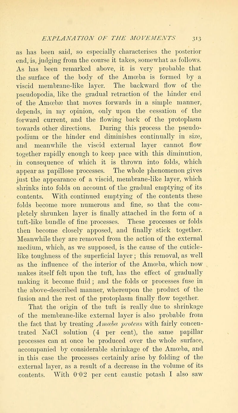 as has been said, so especially characterises the posterior end, is, judging from the course it takes, somewhat as follows. As has been remarked above, it is very probable that the surface of the body of the Amoeba is formed by a viscid membrane-like layer. The backward flow of the pseudopodia, like the gradual retraction of the hinder end of the AmcebaB that moves forwards in a simple manner, depends, in my opinion, only upon the cessation of the forward current, and the flowing back of the protoplasm towards other directions. During this process the pseudo- podium or the hinder end diminishes continually in size, and meanwhile the viscid external layer cannot flow together rapidly enough to keep pace with this diminution, in consequence of which it is thrown into folds, which appear as papillose processes. The whole phenomenon gives just the appearance of a viscid, membrane-like layer, which shrinks into folds on account of the gradual emptying of its contents. With continued emptying of the contents these folds become more numerous and fine, so that the com- pletely shrunken layer is finally attached in the form of a tuft-like bundle of fine processes. These processes or folds then become closely apposed, and finally stick together. Meanwhile they are removed from the action of the external medium, which, as we supposed, is the cause of the cuticle- like toughness of the superficial layer; this removal, as well as the influence of the interior of the Amoeba, which now makes itself felt upon the tuft, has the effect of gradually making it become fluid; and the folds or processes fuse in the above-described manner, whereupon the product of the fusion and the rest of the protoplasm finally flow together. That the origin of the tuft is really due to shrinkage of the membrane-like external layer is also probable from the fact that by treating Amoeba proteus with fairly concen- trated NaCl solution (4 per cent), the same papillar processes can at once be produced over the whole surface, accompanied by considerable shrinkage of the Amoeba, and in this case the processes certainly arise by folding of the external layer, as a result of a decrease in the volume of its contents. With 0-02 per cent caustic potash I also saw