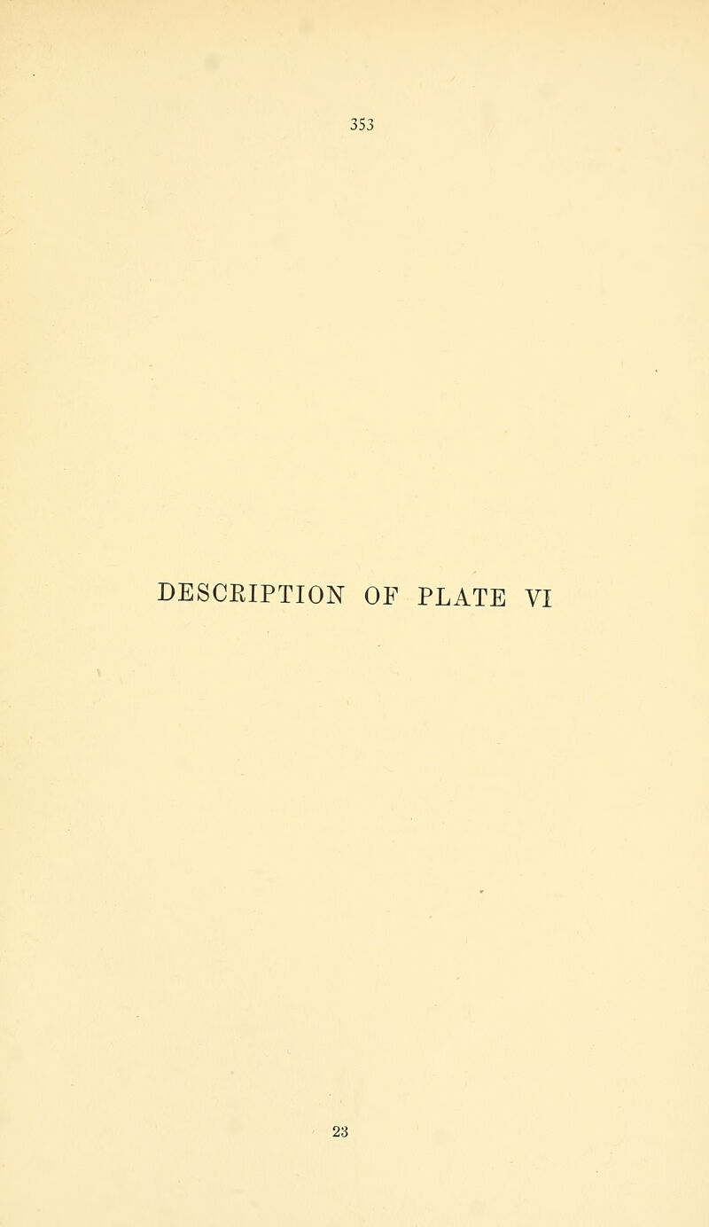 DESCRIPTION OF PLATE VI 23