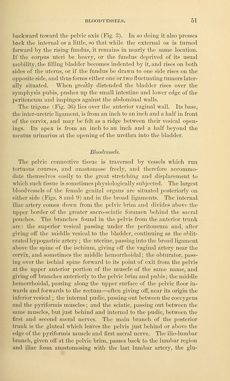 backward toward the pelvic axis (Fig. 3). In so doing it also presses back the internal os a little, so that while the external os is turned forward by the rising fundits, it remains in nearly the same location. If the corpus uteri be heavy, or the fundus deprived of its usual mobility, the filling bladder becomes indented by it, and rises on both sides of the uterus, or if the fundus be drawn to one side rises on the opposite side, and thus forms either one or two fluctuating tumors later- ally situated. When greatly distended the bladder rises over the symphysis pubis, pushes up the small intestine and lower edge of the peritoneum and impinges against the abdominal walls. The trigone (Fig. 36) lies over the anterior vaginal wall. Its base, the inter-uretric ligament, is from an inch to an inch and a half in front of the cervix, and may be felt as a ridge between their vesical open- ings. Its apex is from an inch to an inch and a half beyond the meatus urinarius at the opening of the urethra into the bladder. Bloodvessels. The pelvic connective tissue is traversed by vessels which run tortuous courses, and anastomose freely, and therefore accommo- date themselves easily to the great stretching and displacement to which such tissue is sometimes physiologically subjected. The largest bloodvessels of the female genital organs are situated posteriorly on either side (Figs. 8 and 9) and in the broad ligaments. The internal iliac artery comes down from the pelvic brim and divides above the upper border of the greater sacro-sciatic foramen behind the sacral pouches. The branches found in the pelvis from the anterior trunk are: the superior vesical passing under the peritoneum and, after giving off the middle vesical to the bladder, continuing as the oblit- erated hypogastric artery; the uterine, passing into the broad ligament above the spine of the ischium, giving off the vaginal artery near the cervix, and sometimes the middle hemorrhoidal; the obturator, pass- ing over the ischial spine forward to its point of exit from the pelvis at the upper anterior portion of the muscle of the same name, and giving off branches anteriorly to the pelvic brim and pubis; the middle hemorrhoidal, passing along the upper surface of the pelvic floor in- wards and forwards to the rectum—often giving off, near its origin the inferior vesical; the internal pudic, passing out between the coccygeus and the pyriformis muscles ; and the sciatic, passing out between the same muscles, but just behind and internal to the pudic, between the first and second sacral nerves. The main branch of the posterior trunk is the gluteal which leaves the pelvis just behind or above the edge of the pyriformis muscle and first sacral nerve. The ilio-lumbar branch, given off at the pelvic brim, passes back to the lumbar region and iliac fossa anastomosing with the last lumbar artery, the glu-