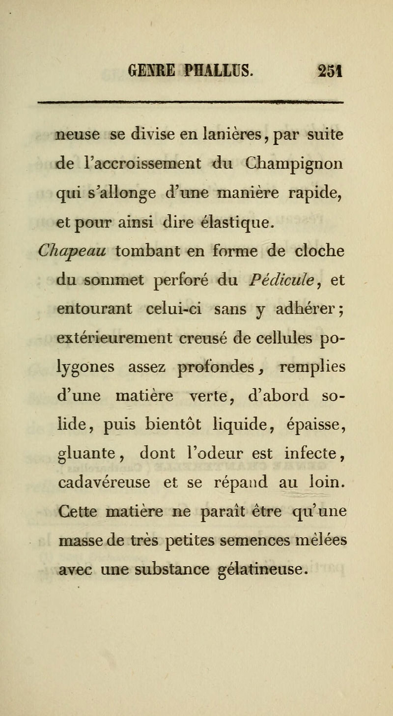 n^use se divise en lanières, par suite de l'accroissement du Champignon qui s^allonge d'une manière rapide, et pour ainsi dire élastique. Chapeau tombant en forme de cloche du sommet perforé du Pédicule^ et entourant celui-ci sans y adhérer; extérieurement creusé de cellules po- lygones assez profondes, remplies d'une matière verte, d'abord so- lide, puis bientôt liquide, épaisse, gluante, dont l'odeur est infecte, cadavéreuse et se répand au loin. Cette matière ne parait être qu'une masse de très petites semences mêlées avec une substance gélatineuse.