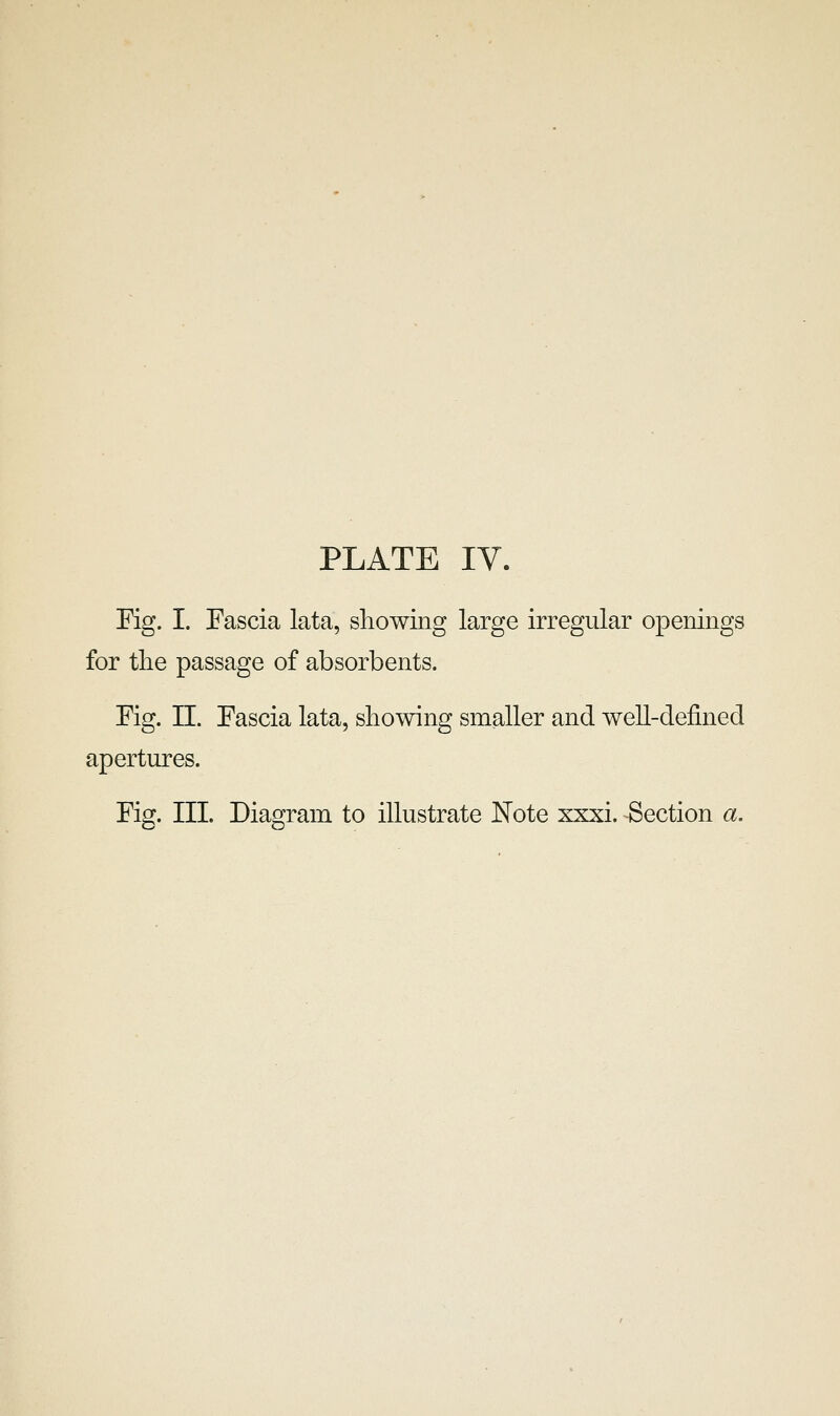 PLATE IV. Eig. I. Fascia lata, showing large irregular openings for tlie passage of absorbents. Fig. II. Fascia lata, showing smaller and well-defined apertures. Fig. III. Diagram to illustrate Note xxxi. Section a.