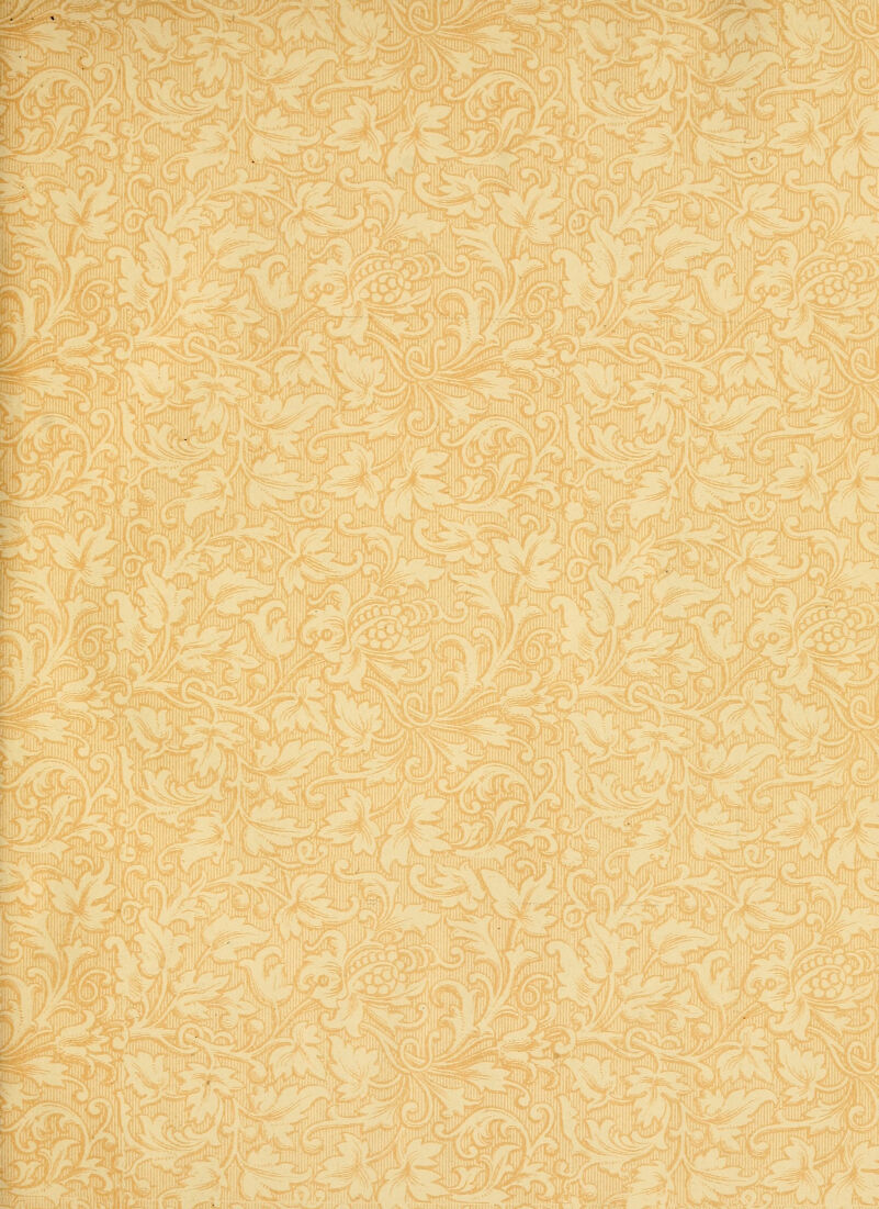 IK1 ?i: iS^iiLc ''%^M^- 2^1^ m * ) J-f^^ li< ^^ii,.. k:S*