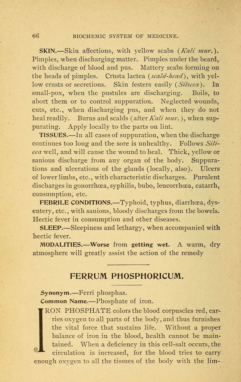 SKIN.—Skin affections, with yellow scabs {Kali mur.). Pimples, when discharging matter. Pimples under the beard, with discharge of blood and pus. Mattery scabs forming on the heads of pimples. Crusta lactea (scald-head), with yel- low crusts or secretions. Skin festers easily (Silicea). In small-pox, when the pustules are discharging. Boils, to abort them or to control suppuration. Neglected wounds, cuts, etc., when discharging pus, and when they do not heal readily. Burns and scalds ( after Kali mur.), when sup- purating. Apply locally to the parts on lint. TISSUES.—In all cases of suppuration, when the discharge continues too long and the sore is unhealthy. Follows Sili- cea well, and will cause the wound to heal. Thick, yellow or sanious discharge from any organ of the body. Suppura- tions and ulcerations of the glands (locally, also). Ulcers of lower limbs, etc., with characteristic discharges. Purulent discharges in gonorrhoea, syphilis, bubo, leucorrhcea, catarrh, consumption, etc. FEBRILE CONDITIONS.—Typhoid, typhus, diarrhoea, dys- entery, etc., with sanious, bloody discharges from the bowels. Hectic fever in consumption and other diseases. SLEEP.—Sleepiness and lethargy, when accompanied with hectic fever. MODALITIES.—Worse from getting wet. A warm, dry atmosphere will greatly assist the action of the remedy FERRUM PHOSPHORICUM. Synonym.—Ferri phosphas. Common Name.—Phosphate of iron. IRON PHOSPHATE colors the blood corpuscles red, car- ries oxygen to all parts of the body, and thus furnishes the vital force that sustains life. Without a proper balance of iron in the blood, health cannot be main- tained. When a deficiency in this cell-salt occurs, the ^^ circulation is increased, for the blood tries to carry enough oxygen to all the tissues of the body with the lim-