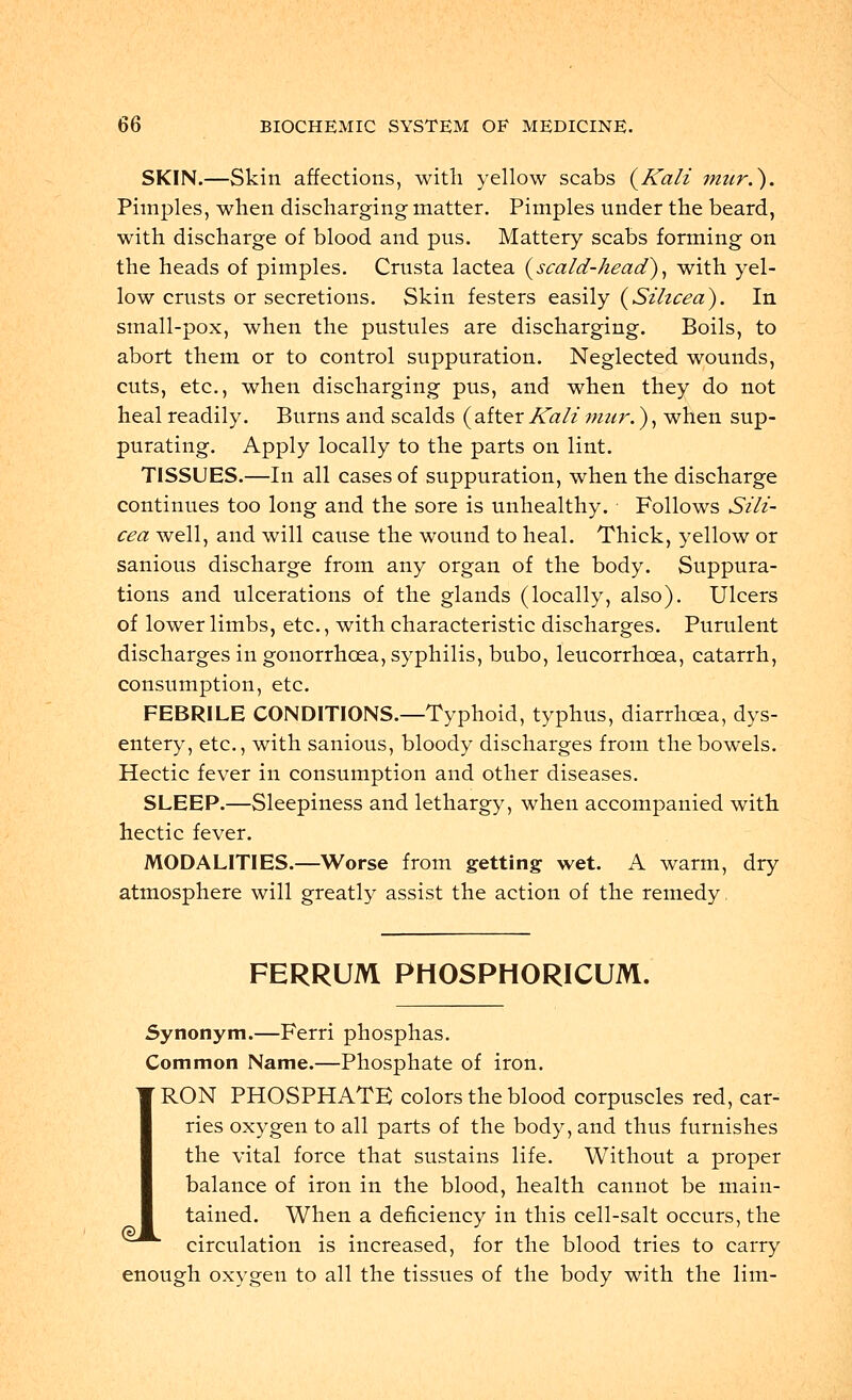 SKIN.—Skin affections, with yellow scabs (Kali mar.). Pimples, when discharging matter. Pimples under the beard, with discharge of blood and pus. Mattery scabs forming on the heads of pimples. Crusta lactea (scald-head), with yel- low crusts or secretions. Skin festers easily (Sihcea). In small-pox, when the pustules are discharging. Boils, to abort them or to control suppuration. Neglected wounds, cuts, etc., when discharging pus, and when they do not heal readily. Burns and scalds ( after Kali mur.), when sup- purating. Apply locally to the parts on lint. TISSUES.—In all cases of suppuration, when the discharge continues too long and the sore is unhealthy. Follows Sili- cea well, and will cause the wound to heal. Thick, yellow or sanious discharge from any organ of the body. Suppura- tions and ulcerations of the glands (locally, also). Ulcers of lower limbs, etc., with characteristic discharges. Purulent discharges in gonorrhoea, syphilis, bubo, leucorrhcea, catarrh, consumption, etc. FEBRILE CONDITIONS.—Typhoid, typhus, diarrhoea, dys- entery, etc., with sanious, bloody discharges from the bowels. Hectic fever in consumption and other diseases. SLEEP.—Sleepiness and lethargy, when accompanied with hectic fever. MODALITIES.—Worse from getting wet. A warm, dry atmosphere will greatly assist the action of the remedy. FERRUM PHOSPHORICUM. Synonym.—Ferri phosphas. Common Name.—Phosphate of iron. IRON PHOSPHATE colors the blood corpuscles red, car- ries oxygen to all parts of the body, and thus furnishes the vital force that sustains life. Without a proper balance of iron in the blood, health cannot be main- tained. When a deficiency in this cell-salt occurs, the ^^ circulation is increased, for the blood tries to carry enough oxygen to all the tissues of the body with the lim-