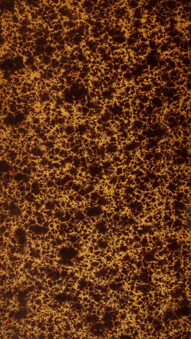 ■-x^.^ ^#€ W%i my