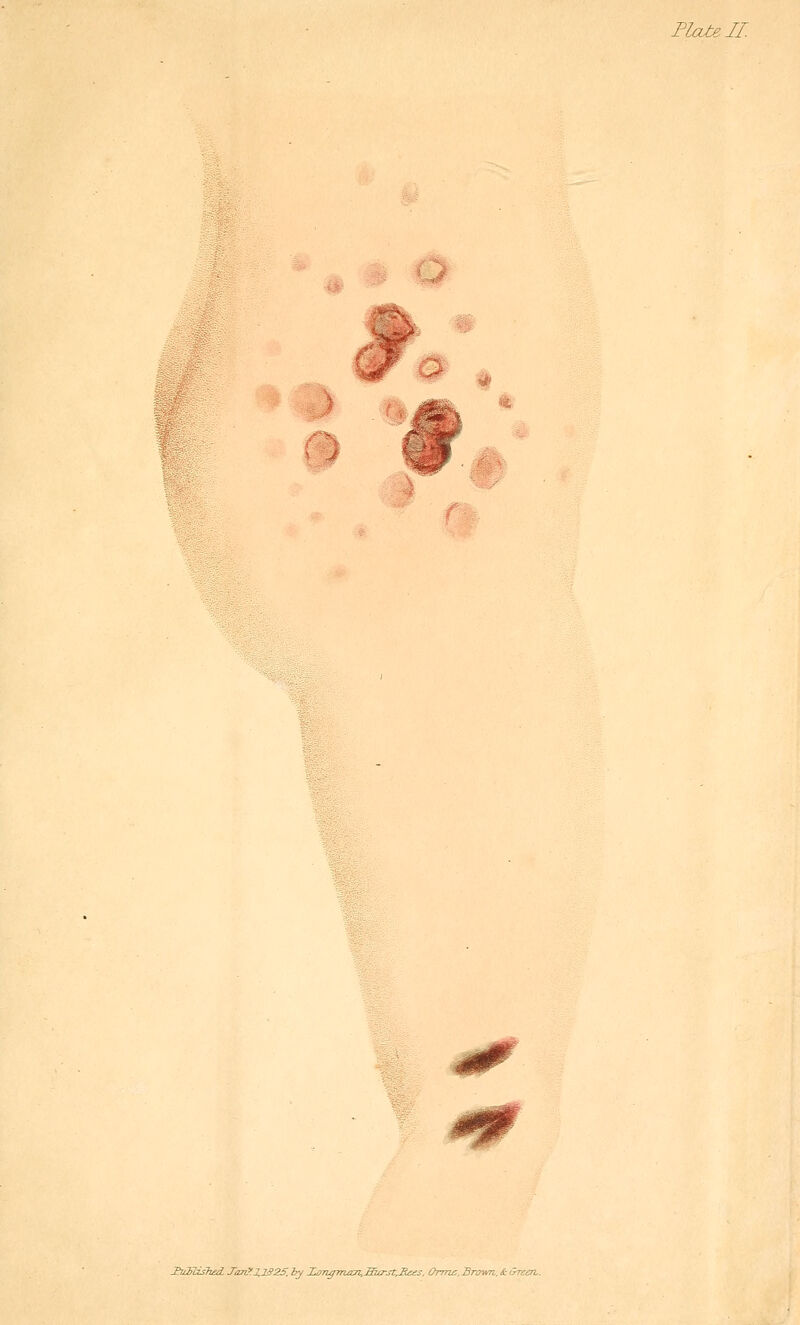 Plate II. > f t * m r^. Ihi2?lzs7i£d. Temj(2,1^2S, by JLo7iff7na:n,Wjrst,M£es. (h-ms.BroiATi, & G-tsstl.