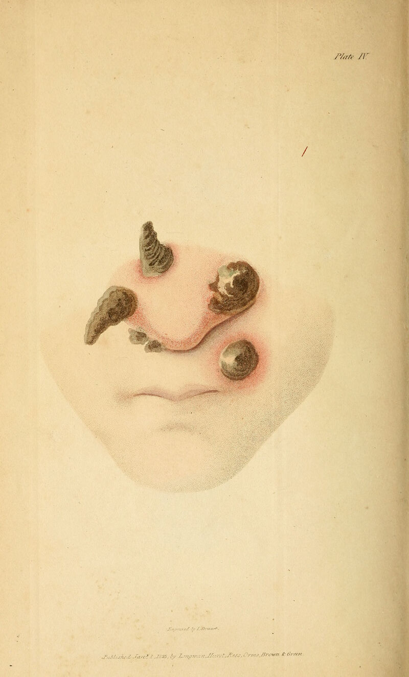 p/^te ii: f^. 'i^ :i^'. '-,' Z.''njf}?-:f7.J/-r.:.'-,7:'-'^'.:,'_ 'rf^.'.' /ire