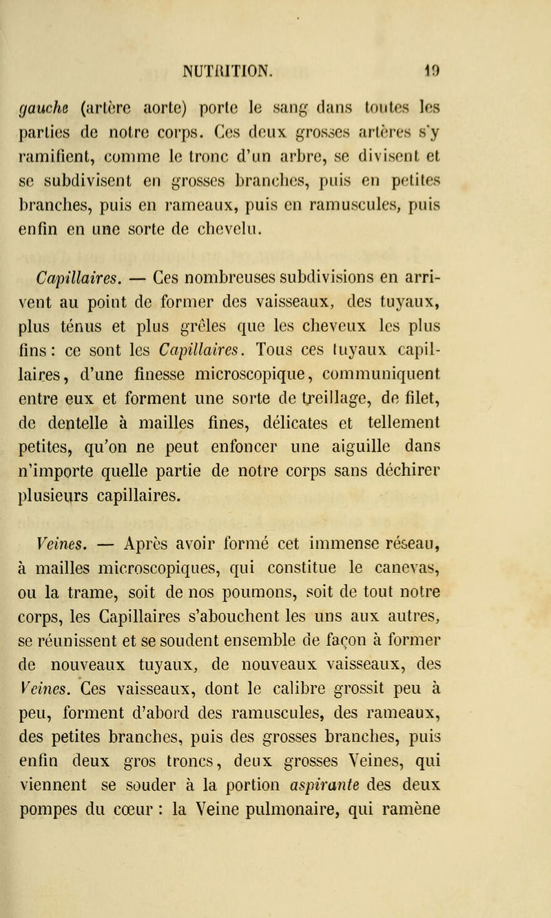 gauche (artère aorte) porto le sang dans tontes les parties de notre corps. Ces deux grosses artères s'y ramifient, comme le tronc d'un arbre, se divisent et se subdivisent en grosses brandies, puis en petites branches, puis en rameaux, puis en ramusculcs, puis enfin en une sorte de chevelu. Capillaires. — Ces nombreuses subdivisions en arri- vent au point de former des vaisseaux, des tuyaux, plus ténus et. plus grêles que les cheveux les plus fins: ce sont les Capillaires. Tous ces tuyaux capil- laires, d'une finesse microscopique, communiquent entre eux et forment une sorte de treillage, de filet, de dentelle à mailles fines, délicates et tellement petites, qu'on ne peut enfoncer une aiguille dans n'importe quelle partie de notre corps sans déchirer plusieurs capillaires. Veines. — Après avoir formé cet immense réseau, à mailles microscopiques, qui constitue le canevas, ou la trame, soit de nos poumons, soit de tout notre corps, les Capillaires s'abouchent les uns aux autres, se réunissent et se soudent ensemble de façon à former de nouveaux tuyaux, de nouveaux vaisseaux, des Veines. Ces vaisseaux, dont le calibre grossit peu à peu, forment d'abord des ramuscules, des rameaux, des petites branches, puis des grosses branches, puis enfin deux gros troncs, deux grosses Veines, qui viennent se souder à la portion aspirante des deux pompes du cœur : la Veine pulmonaire, qui ramène