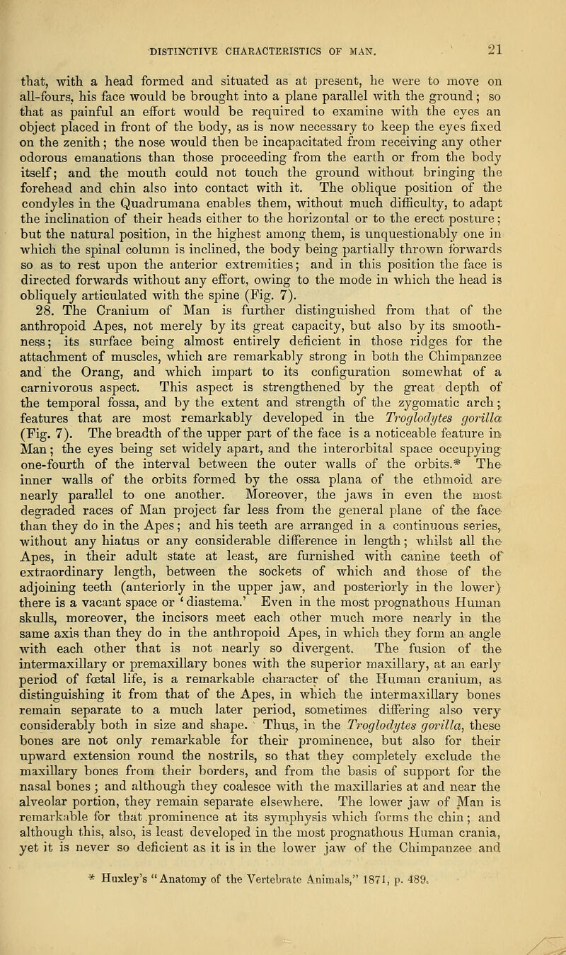 that, with a head formed and situated as at present, he were to move on all-fours, his face would be brought into a plane parallel with the ground; so that as painful an effort would be required to examine with the eyes an object placed in front of the body, as is now necessary to keep the eyes fixed on the zenith; the nose would then be incapacitated from receiving any other odorous emanations than those proceeding from the earth or from the body itself; and the mouth could not touch the ground without bringing the forehead and chin also into contact with it. The oblique position of the condyles in the Quadrumana enables them, without much difficulty, to adapt the inclination of their heads either to the horizontal or to the erect posture; but the natural position, in the highest among them, is unquestionably one in which the spinal column is inclined, the body being partially thrown forwards so as to rest upon the anterior extremities; and in this position the face is directed forwards without any effort, owing to the mode in which the head is obliquely articulated with the spine (Fig. 7). 28. The Cranium of Man is further distinguished from that of the anthropoid Apes, not merely by its great capacity, but also by its smooth- ness ; its surface being almost entirely deficient in those ridges for the attachment of muscles, which are remarkably strong in both the Chimpanzee and the Orang, and which impart to its configuration somewhat of a carnivorous aspect. This aspect is strengthened by the great depth of the temporal fossa, and by the extent and strength of the zygomatic arch;, features that are most remarkably developed in the Troglodytes gorilla (Fig. 7). The breadth of the upper part of the face is a noticeable feature in Man; the eyes being set widely apart, and the interorbital space occupying one-fourth of the interval between the outer walls of the orbits.* The inner walls of the orbits formed by the ossa plana of the ethmoid are nearly parallel to one another. Moreover, the jaws in even the most degraded races of Man project far less from the general plane of the face than they do in the Apes; and his teeth are arranged in a continuous series, without any hiatus or any considerable difference in length; whilst all the Apes, in their adult state at least, are furnished with canine teeth of extraordinary length, between the sockets of which and those of the adjoining teeth (anteriorly in the upper jaw, and posteriorly in the lower) there is a vacant space or ' diastema.' Even in the most prognathous Human skulls, moreover, the incisors meet each other much more nearly in the same axis than they do in the anthropoid Apes, in which they form an angle with each other that is not nearly so divergent. The fusion of the intermaxillary or premaxillary bones with the superior maxillary, at an early period of foetal life, is a remarkable character of the Human cranium, as distinguishing it from that of the Apes, in which the intermaxillary bones remain separate to a much later period, sometimes differing also very considerably both in size and shape. Thus, in the Troglodytes gorilla, these bones are not only remarkable for their prominence, but also for their upward extension round the nostrils, so that they completely exclude the maxillary bones from their borders, and from the basis of support for the nasal bones ; and although they coalesce with the maxillaries at and near the alveolar portion, they remain separate elsewhere. The lower jaw of Man is remarkable for that prominence at its symphysis which forms the chin; and although this, also, is least developed in the most prognathous Human crania, yet it is never so deficient as it is in the lower jaw of the Chimpanzee and * Huxley's Anatomy of the Vertebrate Animals, 1871, p. 489,