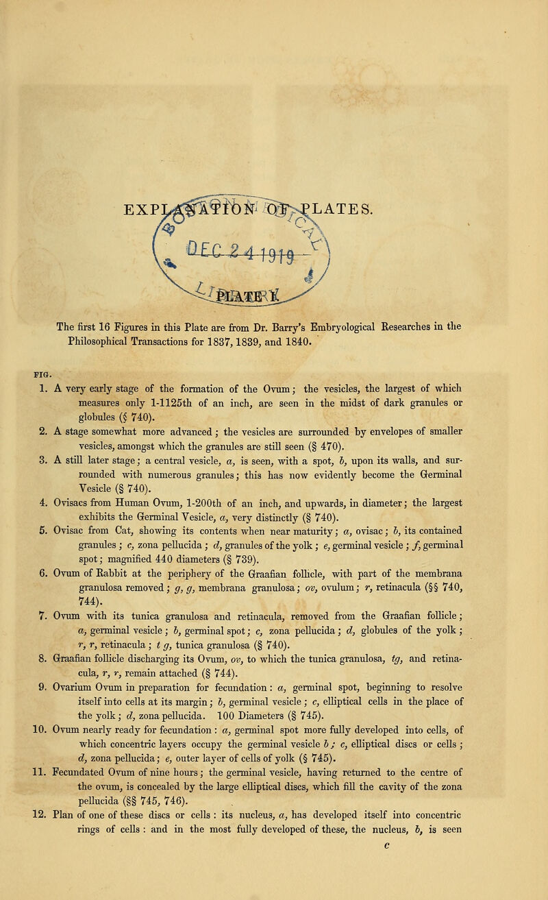 EXPL^C^iK)^755)>^LATES. f£fy J The first 16 Figures in this Plate are from Dr. Barry's Embryological Researches in the Philosophical Transactions for 1837,1839, and 1840. PIG. 1. A very early stage of the formation of the Ovum; the vesicles, the largest of which measures only 1-1125th of an inch, are seen in the midst of dark granules or globules (§ 740). 2. A stage somewhat more advanced; the vesicles are surrounded by envelopes of smaller vesicles, amongst which the granules are still seen (§ 470). 3. A still later stage; a central vesicle, a, is seen, with a spot, b, upon its walls, and sur- rounded with numerous granules; this has now evidently become the Germinal Vesicle (§ 740). 4. Ovisacs from Human Ovum, l-200th of an inch, and upwards, in diameter; the largest exhibits the Germinal Vesicle, a, very distinctly (§ 740). 5. Ovisac from Cat, showing its contents when near maturity; a, ovisac; b, its contained granules; c, zona pellucida; d, granules of the yolk; e, germinal vesicle;/, germinal spot; magnified 440 diameters (§ 739). 6. Ovum of Rabbit at the periphery of the Graafian follicle, with part of the membrana granulosa removed; g, g, membrana granulosa; ov, ovulum; r, retinacula (§§ 740, 744). 7. Ovum with its tunica granulosa and retinacula, removed from the Graafian follicle; a, germinal vesicle; b, germinal spot; c, zona pellucida; d, globules of the yolk ; r, r, retinacula ; t g, tunica granulosa (§ 740). 8. Graafian follicle discharging its Ovum, ov, to which the tunica granulosa, tg, and retina- cula, r, r, remain attached (§ 744). 9. Ovarium Ovum in preparation for fecundation: a, germinal spot, beginning to resolve itself into cells at its margin; b, germinal vesicle; c, elliptical cells in the place of the yolk; d, zona pellucida. 100 Diameters (§ 745). 10. Ovum nearly ready for fecundation : a, germinal spot more fully developed into cells, of which concentric layers occupy the germinal vesicle b; c, elliptical discs or cells ; d, zona pellucida; e, outer layer of cells of yolk (§ 745). 11. Fecundated Ovum of nine hours; the germinal vesicle, having returned to the centre of the ovum, is concealed by the large elliptical discs, which fill the cavity of the zona pellucida (§§ 745, 746). 12. Plan of one of these discs or cells : its nucleus, a, has developed itself into concentric rings of cells : and in the most fully developed of these, the nucleus, b, is seen