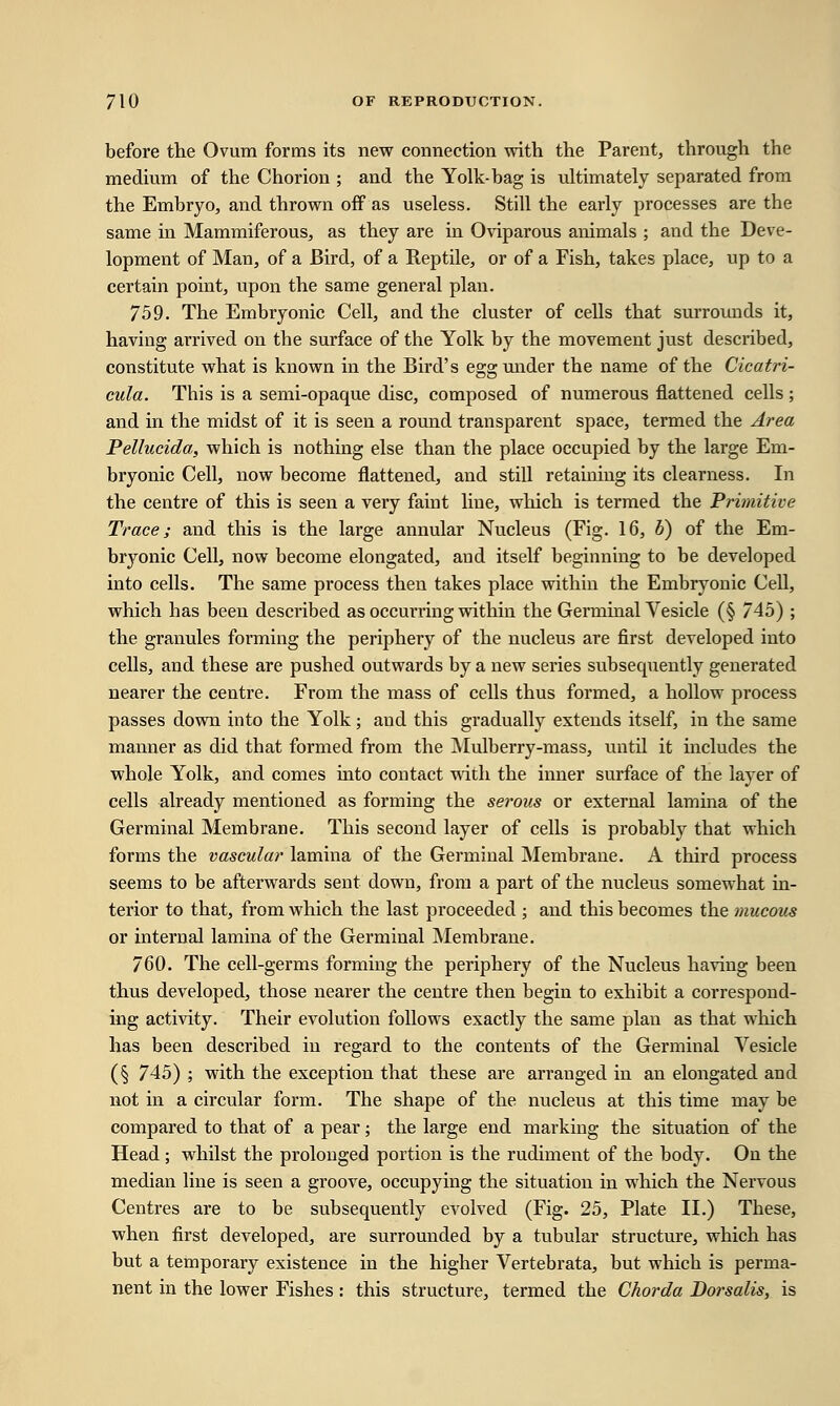 before the Ovum forms its new connection with the Parent, through the medium of the Chorion ; and the Yolk-hag is ultimately separated from the Embryo, and thrown oif as useless. Still the early processes are the same in Mammiferous, as they are in Oviparous animals ; and the Deve- lopment of Man, of a Bird, of a Reptile, or of a Fish, takes place, up to a certain point, upon the same general plan. 759. The Embryonic Cell, and the cluster of cells that surrounds it, having arrived on tbe surface of the Yolk by the movement just described, constitute what is known in the Bird's egg under the name of the Cicatri- cula. This is a semi-opaque disc, composed of numerous flattened cells ; and in the midst of it is seen a round transparent space, termed the Area Pellucida, which is nothing else than the place occupied by the large Em- bryonic Cell, now become flattened, and still retaining its clearness. In the centre of this is seen a very faint line, which is termed the Primitive Trace; and this is the large annular Nucleus (Fig. 16, b) of the Em- bryonic Cell, now become elongated, and itself beginning to be developed into cells. The same process then takes place within the Embryonic Cell, which has been described as occurring within the Germinal Vesicle (§ 745) ; the granules forming the periphery of the nucleus are first developed into cells, and these are pushed outwards by a new series subsequently generated nearer the centre. From the mass of cells thus formed, a hollow process passes down into the Yolk; and this gradually extends itself, in the same manner as did that formed from the Mulberry-mass, until it includes the whole Yolk, and comes into contact with the inner surface of the layer of cells already mentioned as forming the serous or external lamina of the Germinal Membrane. This second layer of cells is probably that which forms the vascular lamina of the Germinal Membrane. A third process seems to be afterwards sent down, from a part of the nucleus somewhat in- terior to that, from which the last proceeded ; and this becomes the mucous or internal lamina of the Germinal Membrane. 760. The cell-germs forming the periphery of the Nucleus having been thus developed, those nearer the centre then begin to exhibit a correspond- ing activity. Their evolution follows exactly the same plan as that which has been described in regard to the contents of the Germinal Vesicle (§ 745) ; with the exception that these are arranged in an elongated and not in a circular form. The shape of the nucleus at this time may be compared to that of a pear; the large end marking the situation of the Head; whilst the prolonged portion is the rudiment of the body. On the median line is seen a groove, occupying the situation in which the Nervous Centres are to be subsequently evolved (Fig. 25, Plate II.) These, when first developed, are surrounded by a tubular structure, which has but a temporary existence in the higher Vertebrata, but which is perma- nent in the lower Fishes: this structure, termed the Chorda Borsalis, is