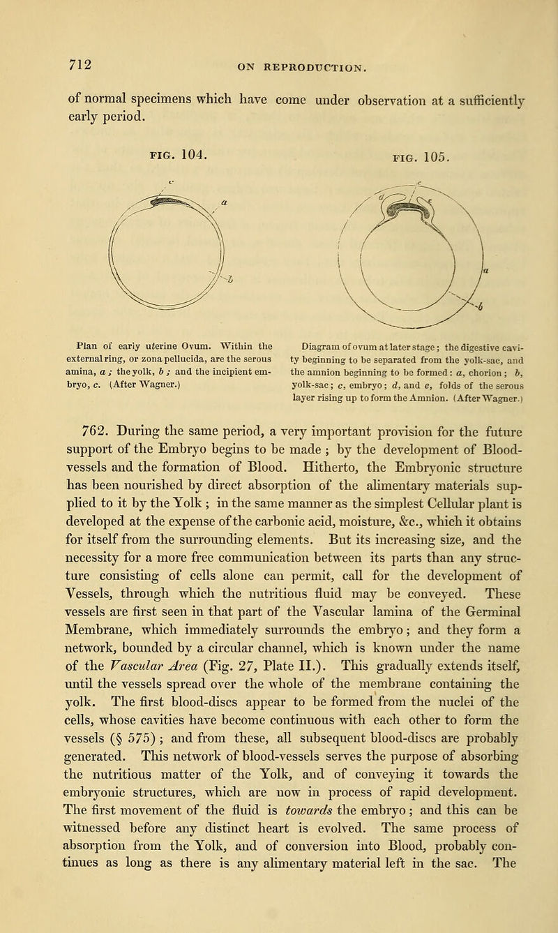 of normal specimens which have come under observation at a sufficiently early period. fig. 104. FIG. 105. Plan of early uterine Ovum. Within the external ring, or zona pellucida, are the serous amina, a ; the yolk, b ; and the incipient em- bryo, c. (After Wagner.) Diagram of ovum at later stage; the digestive cavi- ty beginning to be separated from the yolk-sac, and the amnion beginning to be formed: a, chorion; b, yolk-sac ; c, embryo; d, and e, folds of the serous layer rising up to form the Amnion. (After Wagner, i 762. During the same period, a very important provision for the future support of the Embryo begins to be made ; by the development of Blood- vessels and the formation of Blood. Hitherto, the Embryonic structure has been nourished by direct absorption of the alimentary materials sup- plied to it by the Yolk ; in the same manner as the simplest Cellular plant is developed at the expense of the carbonic acid, moisture, &c, which it obtains for itself from the surrounding elements. But its increasing size, and the necessity for a more free communication between its parts than any struc- ture consisting of cells alone can permit, call for the development of Vessels, through which the nutritious fluid may be conveyed. These vessels are first seen in that part of the Vascular lamina of the Germinal Membrane, which immediately surrounds the embryo; and they form a network, bounded by a circular channel, which is known under the name of the Vascular Area (Fig. 27, Plate II.). This gradually extends itself, until the vessels spread over the whole of the membrane containing the yolk. The first blood-discs appear to be formed from the nuclei of the cells, whose cavities have become continuous with each other to form the vessels (§ 575) ; and from these, all subsequent blood-discs are probably generated. This network of blood-vessels serves the purpose of absorbing the nutritious matter of the Yolk, and of conveying it towards the embryonic structures, which are now in process of rapid development. The first movement of the fluid is towards the embryo; and this can be witnessed before any distinct heart is evolved. The same process of absorption from the Yolk, and of conversion into Blood, probably con- tinues as long as there is any alimentary material left in the sac. The