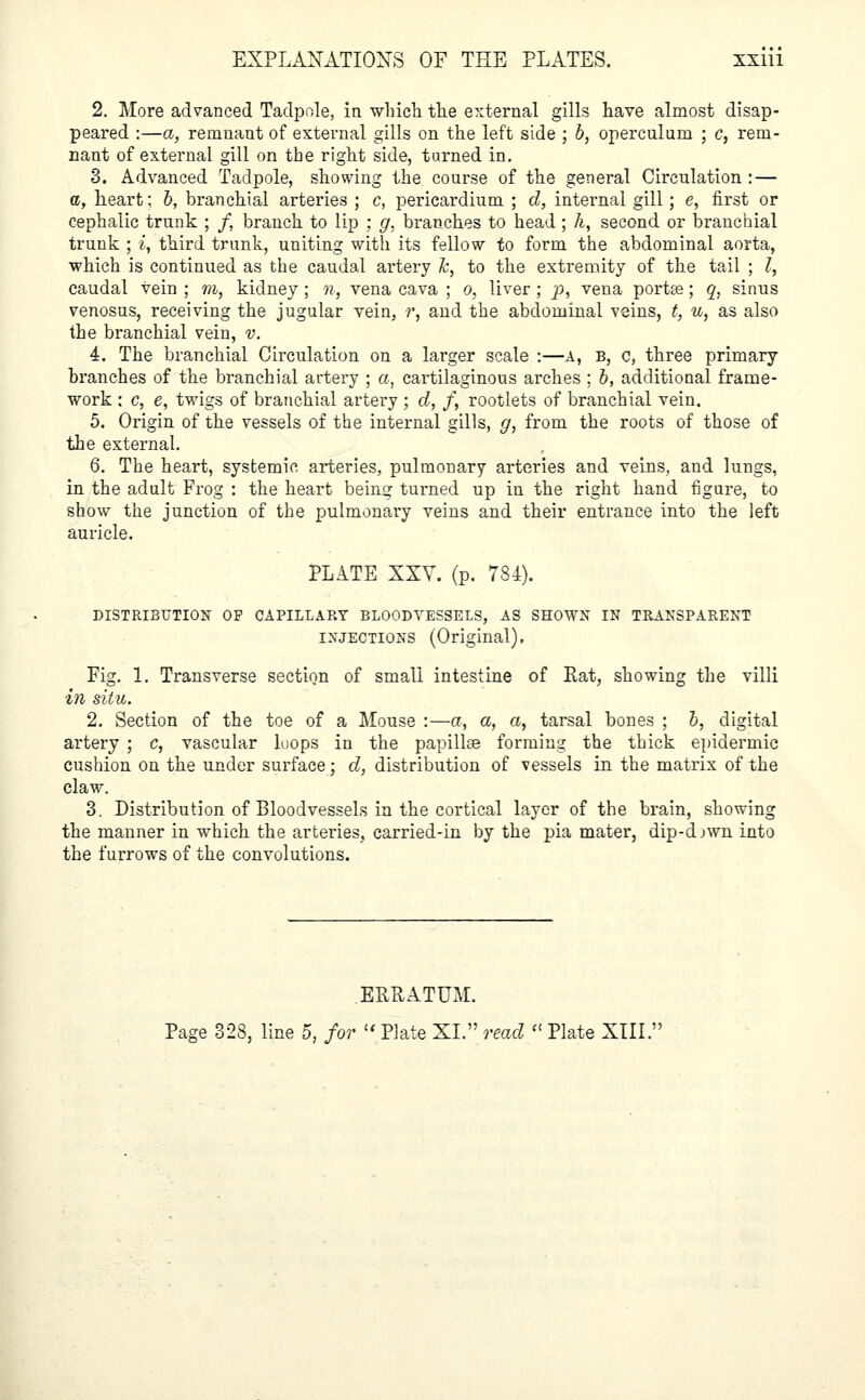 2. More advanced Tadpole, in which the external gills have almost disap- peared :—a, remnant of external gills on the left side ; b, operculum ; c, rem- nant of external gill on the right side, turned in. 3. Advanced Tadpole, showing the course of the general Circulation :— a, heart; b, branchial arteries ; c, pericardium ; d, internal gill; e, first or cephalic trunk ; /, branch to lip ; g, branches to head ; k, second or branchial trunk ; i, third trunk, uniting with its fellow to form the abdominal aorta, which is continued as the caudal artery Jc, to the extremity of the tail ; I, caudal vein ; m, kidney; n, vena cava ; o, liver ; p, vena portse; q, sinus venosus, receiving the jugular vein, r, and the abdominal veins, t, u, as also the branchial vein, v. 4. The branchial Circulation on a larger scale :—A, B, c, three primary branches of the branchial artery ; a, cartilaginous arches ; b, additional frame- work ; c, e, twigs of branchial artery ; d, f, rootlets of branchial vein. 5. Origin of the vessels of the internal gills, g, from the roots of those of the external. 6. The heart, systemic arteries, pulmonary arteries and veins, and lungs, in the adult Frog : the heart beinw turned up in the right hand figure, to show the junction of the pulmonary veins and their entrance into the left auricle. PLATE XXV. (p. 784). DISTRIBUTION OP CAPILLARY BLOODVESSELS, AS SHOWN IN TRANSPARENT injections (Original), Fig. 1. Transverse section of small intestine of Rat, showing the villi in situ. 2. Section of the toe of a Mouse :—a, a, a, tarsal bones ; 5, digital artery ; c, vascular loops in the papillae forming the thick epidermic cushion on the under surface; d, distribution of vessels in the matrix of the claw. 3. Distribution of Bloodvessels in the cortical layer of the brain, showing the manner in which the arteries, carried-in by the pia mater, dip-djwninto the furrows of the convolutions. ERRATUM. Page 328, line 5, for Plate XL read a Plate XIII.