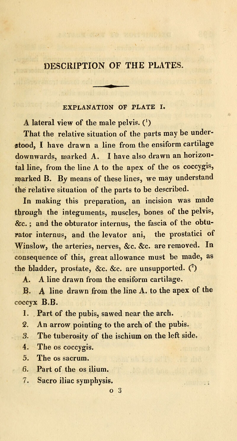 DESCRIPTION OF THE PLATES. EXPLANATION OF PLATE I. A lateral view of the male pelvis. 0) That the relative situation of the parts may be under- stood, I have drawn a line from the ensiform cartilage downwards, marked A. I have also drawn an horizon- tal line, from the line A to the apex of the os coccygis, marked B. By means of these lines, we may understand the relative situation of the parts to be described. In making this preparation, an incision was made through the integuments, muscles, bones of the pelvis, &c.; and the obturator internus, the fascia of the obtu- rator internus, and the levator ani, the prostatici of Winslow, the arteries, nerves, &c. &c. are removed. In consequence of this, great allowance must be made, as the bladder, prostate, &c. &c. are unsupported. (2) A. A line drawn from the ensiform cartilage. J3. A line drawn from the line A. to the apex of the coccyx B.B. 1. Part of the pubis, sawed near the arch. 2. An arrow pointing to the arch of the pubis. 3. The tuberosity of the ischium on the left side. 4. The os coccygis. 5. The os sacrum. 6. Part of the os ilium. 7. Sacro iliac symphysis. o 3