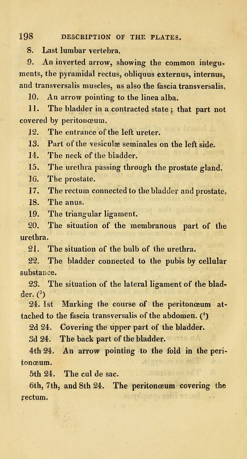 8. Last lumbar vertebra. 9. An inverted arrow, showing the common integu* ments, the pyramidal rectus, obliquus externus, internus, and transversalis muscles, as also the fascia transversalis. 10. An arrow pointing to the linea alba. 11. The bladder in a contracted state; that part not covered by peritonaeum. 12. The entrance of the left ureter. 13. Part of the vesiculae seminales on the left side. 14. The neck of the bladder. 15. The urethra passing through the prostate gland. 16. The prostate. 17. The rectum connected to the bladder and prostate. 18. The anus. 19. The triangular ligament. 20. The situation of the membranous part of the prethra. 21. The situation of the bulb of the urethra. 22. The bladder connected to the pubis by cellular substance. 23. The situation of the lateral ligament of the blad- der. (3) 24. 1st Marking the course of the peritonaeum at- tached to the fascia transversalis of the abdomen. (4) 2d 24. Covering the upper part of the bladder* 3d 24. The back part of the bladder. 4th 24. An arrow pointing to the fold in the peri- tonoeum. 5th 24. The cul de sac. 6th, 7th, and 8th 24. The peritonoeum covering the ^rectum.