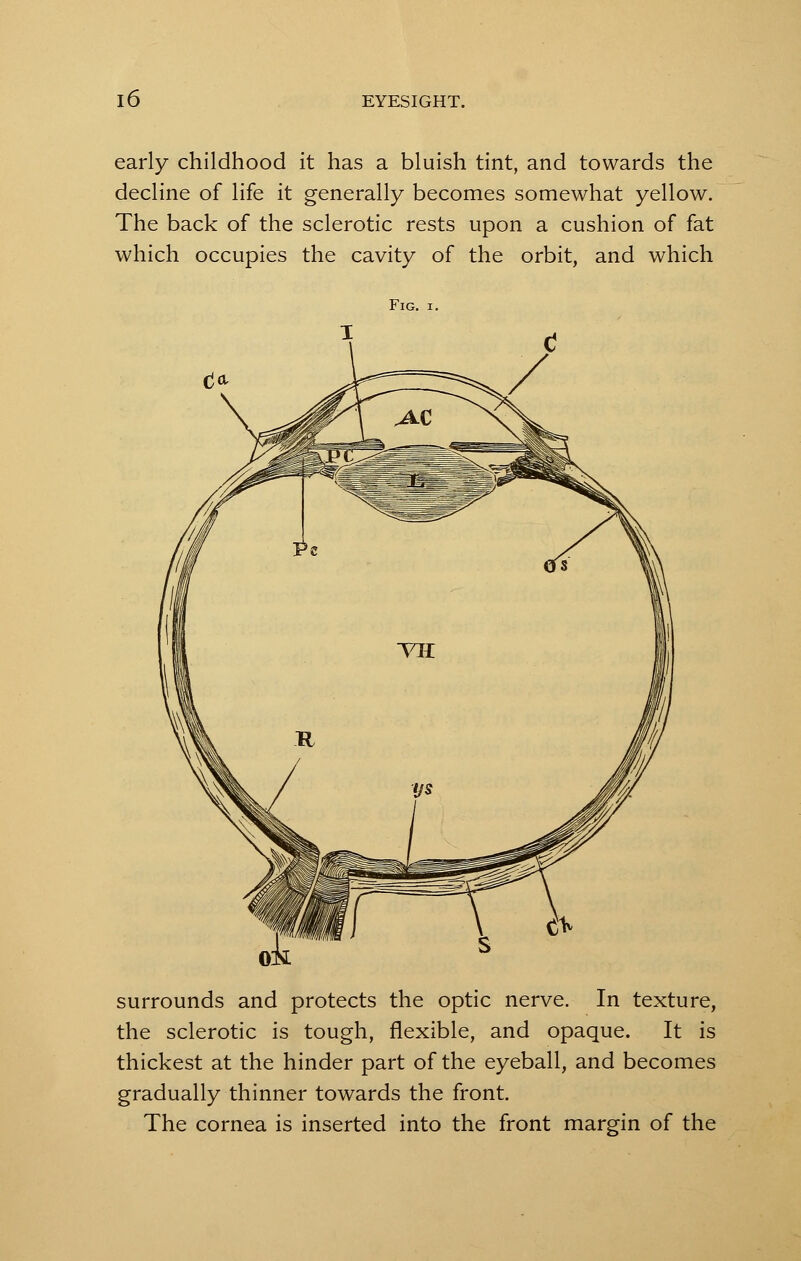 early childhood it has a bluish tint, and towards the decline of life it generally becomes somewhat yellow. The back of the sclerotic rests upon a cushion of fat which occupies the cavity of the orbit, and which Fig. surrounds and protects the optic nerve. In texture, the sclerotic is tough, flexible, and opaque. It is thickest at the hinder part of the eyeball, and becomes gradually thinner towards the front. The cornea is inserted into the front margin of the