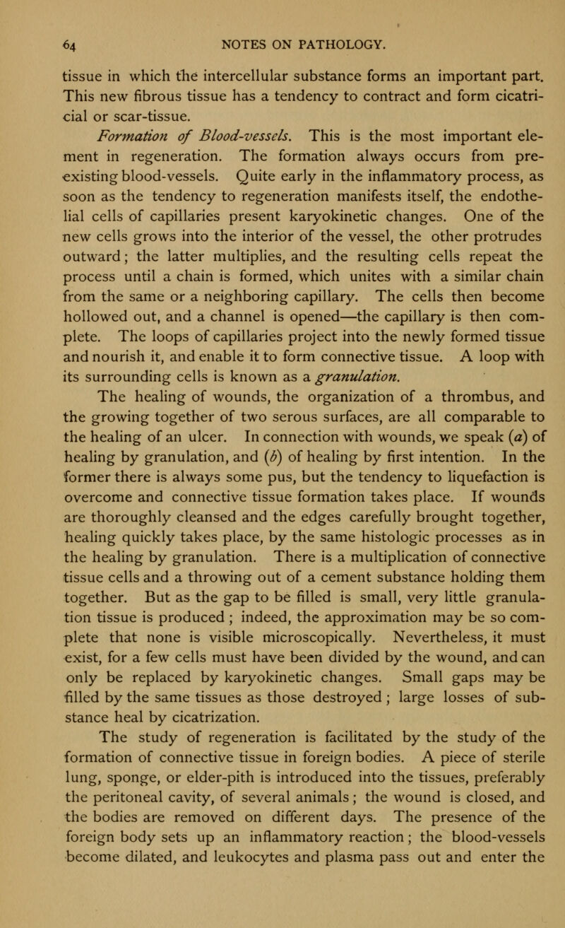 tissue in which the intercellular substance forms an important part. This new fibrous tissue has a tendency to contract and form cicatri- cial or scar-tissue. Formation of Blood-vessels. This is the most important ele- ment in regeneration. The formation always occurs from pre- existing blood-vessels. Quite early in the inflammatory process, as soon as the tendency to regeneration manifests itself, the endothe- lial cells of capillaries present karyokinetic changes. One of the new cells grows into the interior of the vessel, the other protrudes outward; the latter multiplies, and the resulting cells repeat the process until a chain is formed, which unites with a similar chain from the same or a neighboring capillary. The cells then become hollowed out, and a channel is opened—the capillary is then com- plete. The loops of capillaries project into the newly formed tissue and nourish it, and enable it to form connective tissue. A loop with its surrounding cells is known as a granulation. The healing of wounds, the organization of a thrombus, and the growing together of two serous surfaces, are all comparable to the heahng of an ulcer. In connection with wounds, we speak (a) of heahng by granulation, and (B) of healing by first intention. In the former there is always some pus, but the tendency to liquefaction is overcome and connective tissue formation takes place. If wounds are thoroughly cleansed and the edges carefully brought together, healing quickly takes place, by the same histologic processes as in the healing by granulation. There is a multiplication of connective tissue cells and a throwing out of a cement substance holding them together. But as the gap to be filled is small, very little granula- tion tissue is produced ; indeed, the approximation may be so com- plete that none is visible microscopically. Nevertheless, it must exist, for a few cells must have been divided by the wound, and can only be replaced by karyokinetic changes. Small gaps may be filled by the same tissues as those destroyed ; large losses of sub- stance heal by cicatrization. The study of regeneration is facilitated by the study of the formation of connective tissue in foreign bodies. A piece of sterile lung, sponge, or elder-pith is introduced into the tissues, preferably the peritoneal cavity, of several animals; the wound is closed, and the bodies are removed on different days. The presence of the foreign body sets up an inflammatory reaction; the blood-vessels become dilated, and leukocytes and plasma pass out and enter the