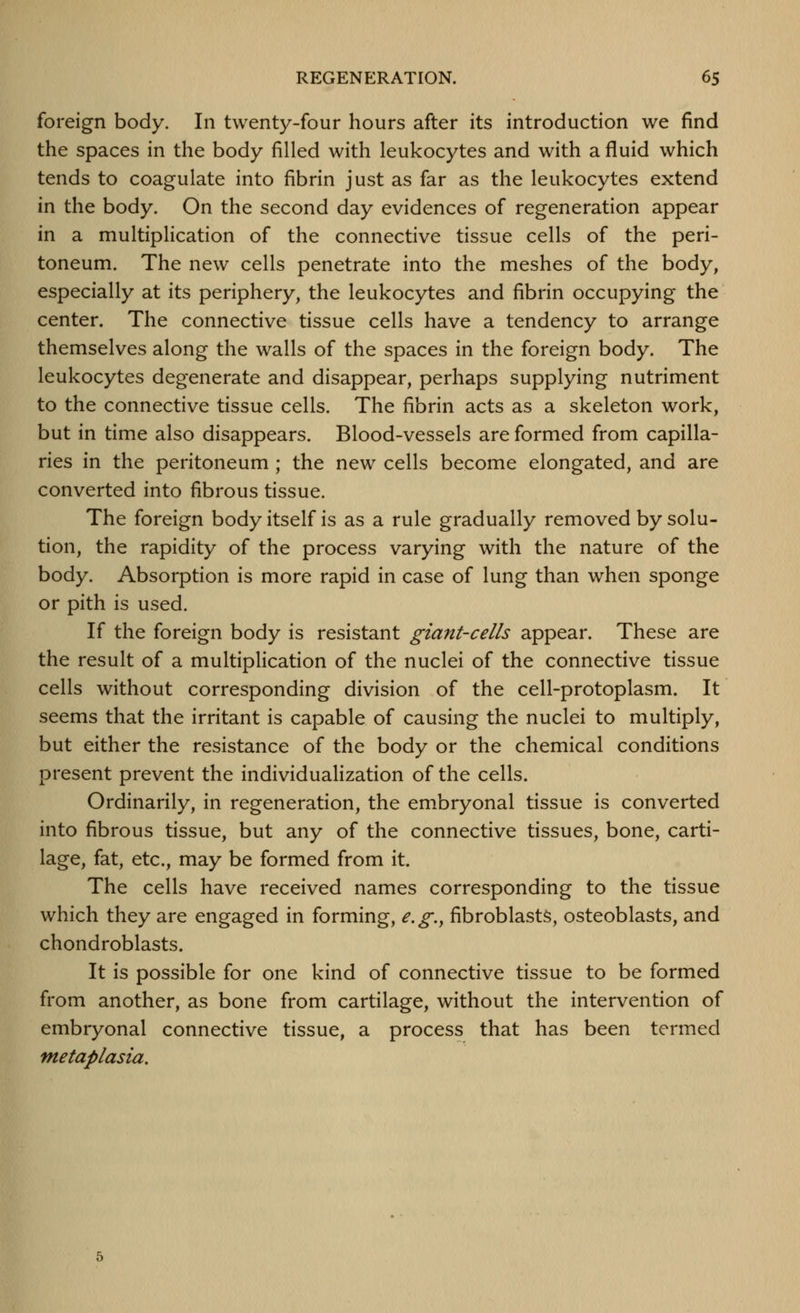 foreign body. In twenty-four hours after its introduction we find the spaces in the body filled with leukocytes and with a fluid which tends to coagulate into fibrin just as far as the leukocytes extend in the body. On the second day evidences of regeneration appear in a multiplication of the connective tissue cells of the peri- toneum. The new cells penetrate into the meshes of the body, especially at its periphery, the leukocytes and fibrin occupying the center. The connective tissue cells have a tendency to arrange themselves along the walls of the spaces in the foreign body. The leukocytes degenerate and disappear, perhaps supplying nutriment to the connective tissue cells. The fibrin acts as a skeleton work, but in time also disappears. Blood-vessels are formed from capilla- ries in the peritoneum ; the new cells become elongated, and are converted into fibrous tissue. The foreign body itself is as a rule gradually removed by solu- tion, the rapidity of the process varying with the nature of the body. Absorption is more rapid in case of lung than when sponge or pith is used. If the foreign body is resistant giant-cells appear. These are the result of a multipHcation of the nuclei of the connective tissue cells without corresponding division of the cell-protoplasm. It seems that the irritant is capable of causing the nuclei to multiply, but either the resistance of the body or the chemical conditions present prevent the individualization of the cells. Ordinarily, in regeneration, the embryonal tissue is converted into fibrous tissue, but any of the connective tissues, bone, carti- lage, fat, etc., may be formed from it. The cells have received names corresponding to the tissue which they are engaged in forming, e.g., fibroblasts, osteoblasts, and chondroblasts. It is possible for one kind of connective tissue to be formed from another, as bone from cartilage, without the intervention of embryonal connective tissue, a process that has been termed metaplasia.