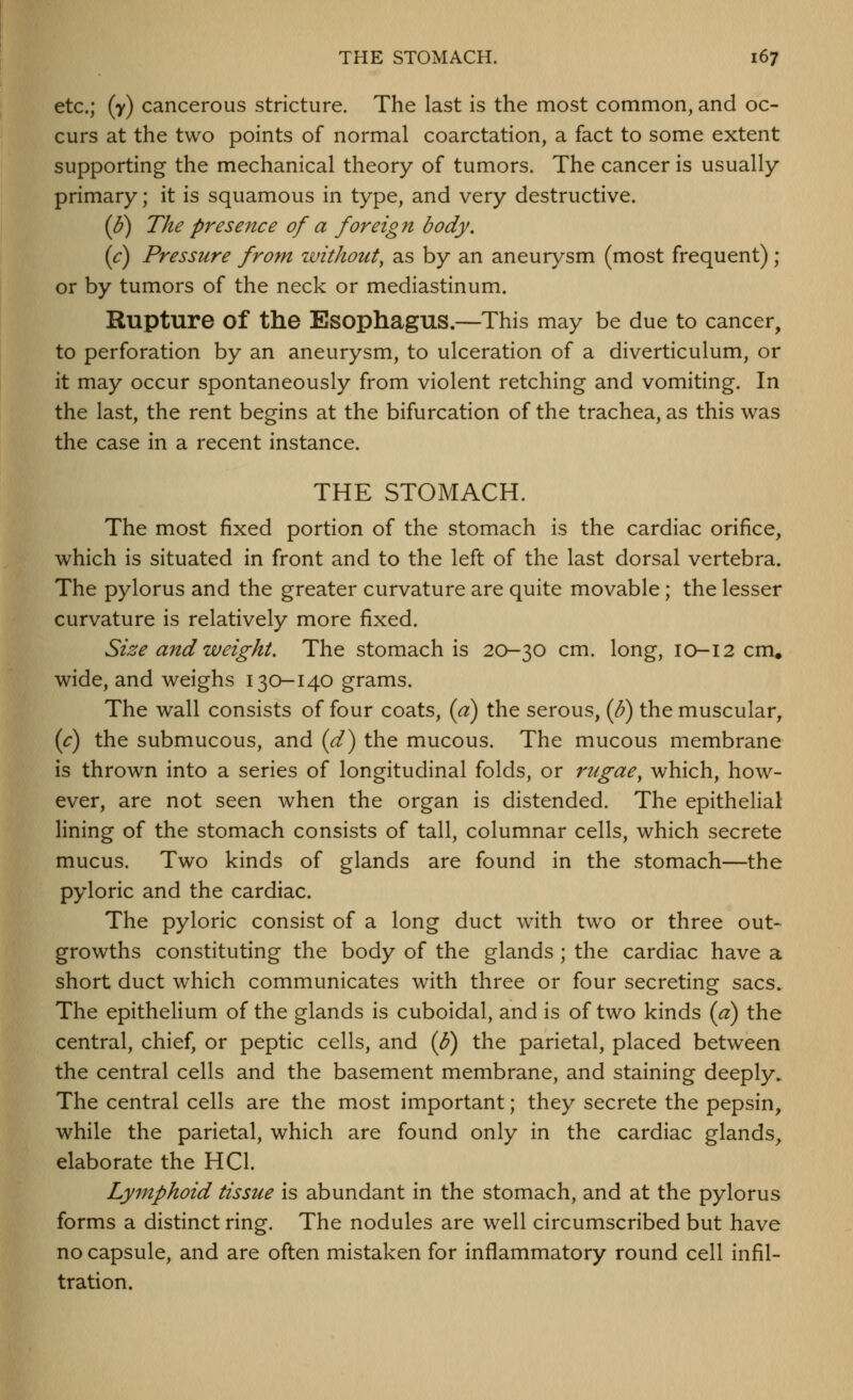 etc.; (y) cancerous stricture. The last is the most common, and oc- curs at the two points of normal coarctation, a fact to some extent supporting the mechanical theory of tumors. The cancer is usually primary; it is squamous in type, and very destructive. (J?) The presence of a foreig n body. (c) Pressure from without^ as by an aneurysm (most frequent); or by tumors of the neck or mediastinum. Rupture of the Esophagus.—This may be due to cancer, to perforation by an aneurysm, to ulceration of a diverticulum, or it may occur spontaneously from violent retching and vomiting. In the last, the rent begins at the bifurcation of the trachea, as this was the case in a recent instance. THE STOMACH. The most fixed portion of the stomach is the cardiac orifice, which is situated in front and to the left of the last dorsal vertebra. The pylorus and the greater curvature are quite movable; the lesser curvature is relatively more fixed. Size and weight. The stomach is 20-30 cm. long, 10-12 cm. wide, and weighs 130-140 grams. The wall consists of four coats, {a) the serous, (/?) the muscular, (c) the submucous, and {d^ the mucous. The mucous membrane is thrown into a series of longitudinal folds, or rugae, which, how- ever, are not seen when the organ is distended. The epithelial lining of the stomach consists of tall, columnar cells, which secrete mucus. Two kinds of glands are found in the stomach—the pyloric and the cardiac. The pyloric consist of a long duct with two or three out- growths constituting the body of the glands; the cardiac have a short duct which communicates with three or four secreting sacs. The epithelium of the glands is cuboidal, and is of two kinds {a) the central, chief, or peptic cells, and {b) the parietal, placed between the central cells and the basement membrane, and staining deeply. The central cells are the most important; they secrete the pepsin, while the parietal, which are found only in the cardiac glands, elaborate the HCl. Lymphoid tissue is abundant in the stomach, and at the pylorus forms a distinct ring. The nodules are well circumscribed but have no capsule, and are often mistaken for inflammatory round cell infil- tration.