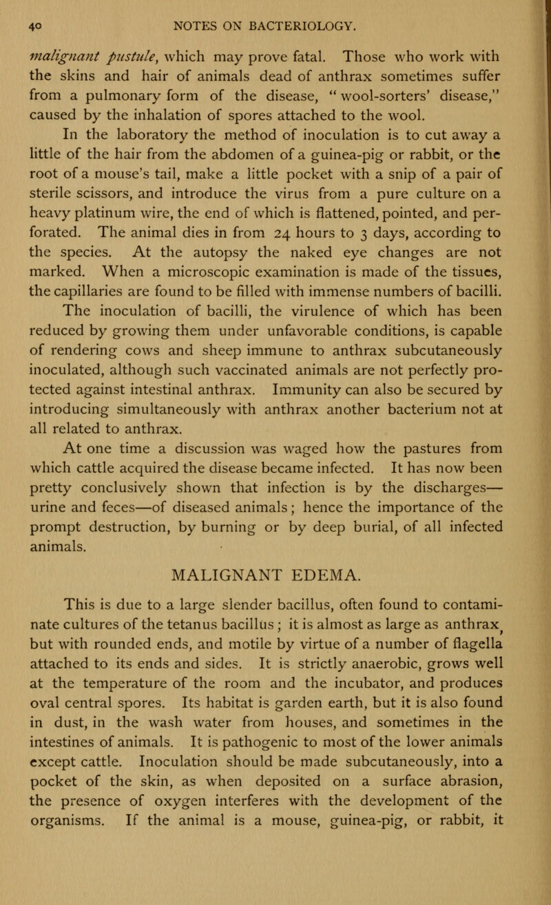 malignant pustule, which may prove fatal. Those who work with the skins and hair of animals dead of anthrax sometimes suffer from a pulmonary form of the disease, *' wool-sorters' disease, caused by the inhalation of spores attached to the wool. In the laboratory the method of inoculation is to cut away a little of the hair from the abdomen of a guinea-pig or rabbit, or the root of a mouse's tail, make a little pocket with a snip of a pair of sterile scissors, and introduce the virus from a pure culture on a heavy platinum wire, the end of which is flattened, pointed, and per- forated. The animal dies in from 24 hours to 3 days, according to the species. At the autopsy the naked eye changes are not marked. When a microscopic examination is made of the tissues, the capillaries are found to be filled with immense numbers of bacilli. The inoculation of bacilli, the virulence of which has been reduced by growing them under unfavorable conditions, is capable of rendering cows and sheep immune to anthrax subcutaneously inoculated, although such vaccinated animals are not perfectly pro- tected against intestinal anthrax. Immunity can also be secured by introducing simultaneously with anthrax another bacterium not at all related to anthrax. At one time a discussion was waged how the pastures from which cattle acquired the disease became infected. It has now been pretty conclusively shown that infection is by the discharges— urine and feces—of diseased animals; hence the importance of the prompt destruction, by burning or by deep burial, of all infected animals. MALIGNANT EDEMA. This is due to a large slender bacillus, often found to contami- nate cultures of the tetanus bacillus ; it is almost as large as anthrax but with rounded ends, and motile by virtue of a number of flagella attached to its ends and sides. It is strictly anaerobic, grows well at the temperature of the room and the incubator, and produces oval central spores. Its habitat is garden earth, but it is also found in dust, in the wash water from houses, and sometimes in the intestines of animals. It is pathogenic to most of the lower animals except cattle. Inoculation should be made subcutaneously, into a pocket of the skin, as when deposited on a surface abrasion, the presence of oxygen interferes with the development of the organisms. If the animal is a mouse, guinea-pig, or rabbit, it