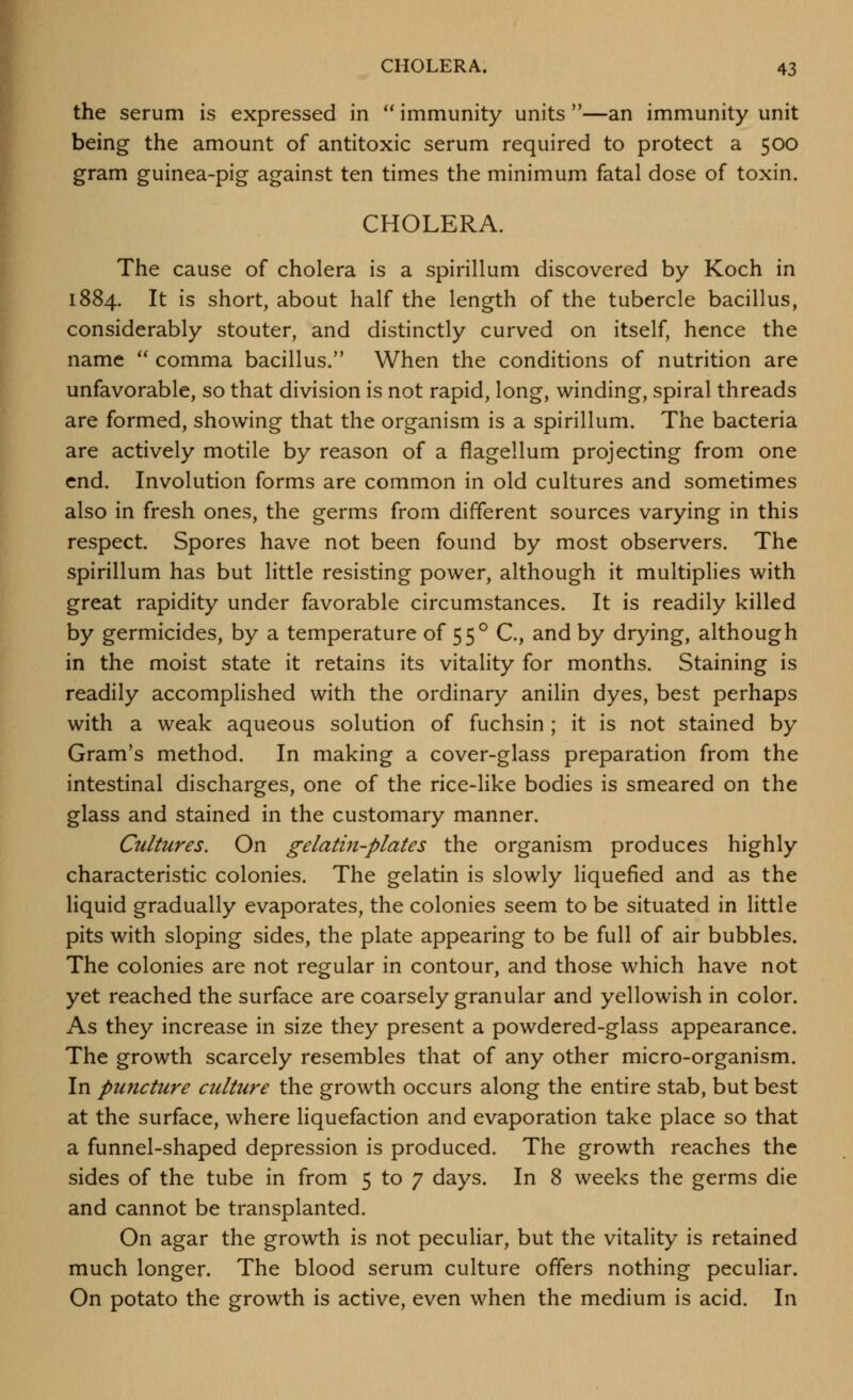 the serum is expressed in  immunity units —an immunity unit being the amount of antitoxic serum required to protect a 500 gram guinea-pig against ten times the minimum fatal dose of toxin. CHOLERA. The cause of cholera is a spirillum discovered by Koch in 1884. It is short, about half the length of the tubercle bacillus, considerably stouter, and distinctly curved on itself, hence the name  comma bacillus. When the conditions of nutrition are unfavorable, so that division is not rapid, long, winding, spiral threads are formed, showing that the organism is a spirillum. The bacteria are actively motile by reason of a flagellum projecting from one end. Involution forms are common in old cultures and sometimes also in fresh ones, the germs from different sources varying in this respect. Spores have not been found by most observers. The spirillum has but little resisting power, although it multiplies with great rapidity under favorable circumstances. It is readily killed by germicides, by a temperature of 55° C, and by drying, although in the moist state it retains its vitality for months. Staining is readily accomplished with the ordinary anilin dyes, best perhaps with a weak aqueous solution of fuchsin ; it is not stained by Gram's method. In making a cover-glass preparation from the intestinal discharges, one of the rice-like bodies is smeared on the glass and stained in the customary manner. Cultures. On gelatin-plates the organism produces highly characteristic colonies. The gelatin is slowly liquefied and as the liquid gradually evaporates, the colonies seem to be situated in little pits with sloping sides, the plate appearing to be full of air bubbles. The colonies are not regular in contour, and those which have not yet reached the surface are coarsely granular and yellowish in color. As they increase in size they present a powdered-glass appearance. The growth scarcely resembles that of any other micro-organism. In puncture culture the growth occurs along the entire stab, but best at the surface, where liquefaction and evaporation take place so that a funnel-shaped depression is produced. The growth reaches the sides of the tube in from 5 to 7 days. In 8 weeks the germs die and cannot be transplanted. On agar the growth is not peculiar, but the vitality is retained much longer. The blood serum culture offers nothing peculiar. On potato the growth is active, even when the medium is acid. In