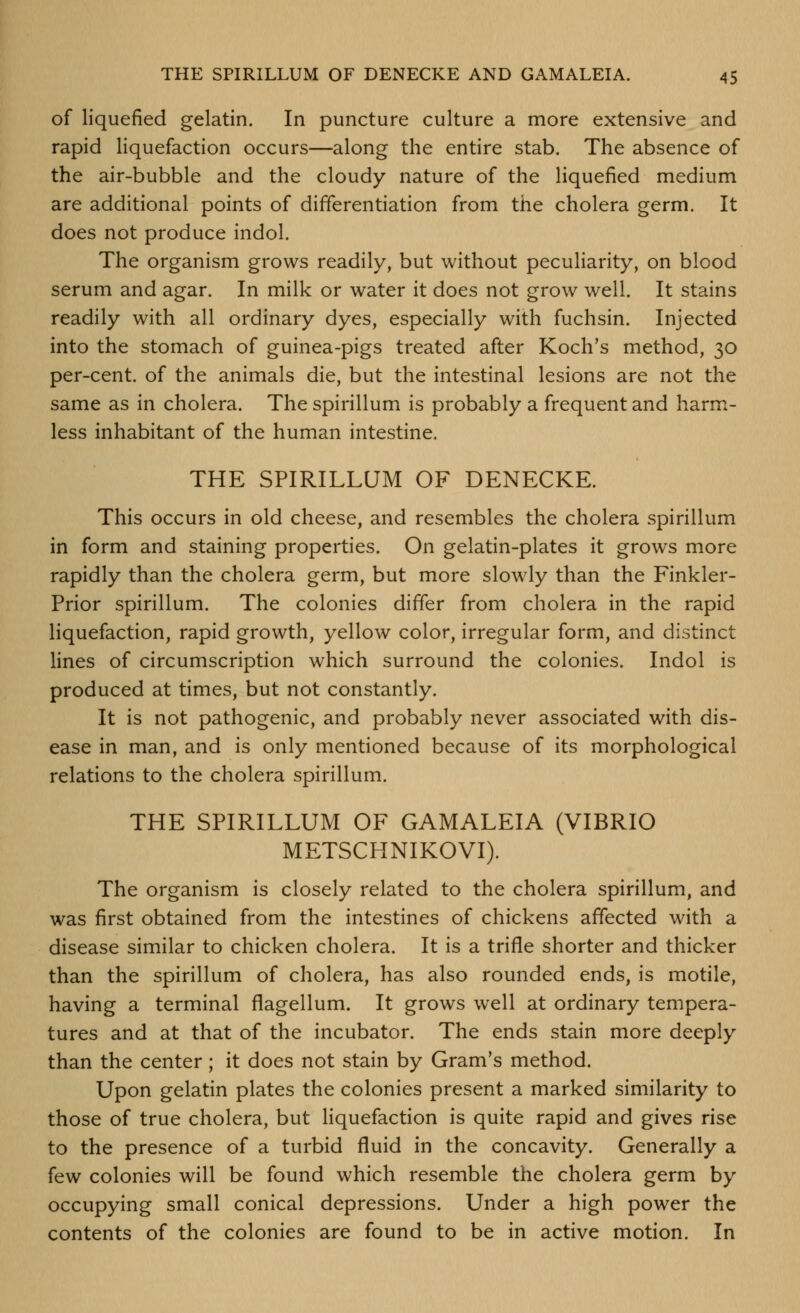 of liquefied gelatin. In puncture culture a more extensive and rapid liquefaction occurs—along the entire stab. The absence of the air-bubble and the cloudy nature of the liquefied medium are additional points of differentiation from the cholera germ. It does not produce indol. The organism grows readily, but without peculiarity, on blood serum and agar. In milk or water it does not grow well. It stains readily with all ordinary dyes, especially with fuchsin. Injected into the stomach of guinea-pigs treated after Koch's method, 30 per-cent. of the animals die, but the intestinal lesions are not the same as in cholera. The spirillum is probably a frequent and harm- less inhabitant of the human intestine. THE SPIRILLUM OF DENECKE. This occurs in old cheese, and resembles the cholera spirillum in form and staining properties. On gelatin-plates it grows more rapidly than the cholera germ, but more slowly than the Finkler- Prior spirillum. The colonies differ from cholera in the rapid liquefaction, rapid growth, yellow color, irregular form, and distinct lines of circumscription which surround the colonies. Indol is produced at times, but not constantly. It is not pathogenic, and probably never associated with dis- ease in man, and is only mentioned because of its morphological relations to the cholera spirillum. THE SPIRILLUM OF GAMALEIA (VIBRIO METSCHNIKOVI). The organism is closely related to the cholera spirillum, and was first obtained from the intestines of chickens affected with a disease similar to chicken cholera. It is a trifle shorter and thicker than the spirillum of cholera, has also rounded ends, is motile, having a terminal flagellum. It grows well at ordinary tempera- tures and at that of the incubator. The ends stain more deeply than the center ; it does not stain by Gram's method. Upon gelatin plates the colonies present a marked similarity to those of true cholera, but Hquefaction is quite rapid and gives rise to the presence of a turbid fluid in the concavity. Generally a few colonies will be found which resemble the cholera germ by occupying small conical depressions. Under a high power the contents of the colonies are found to be in active motion. In