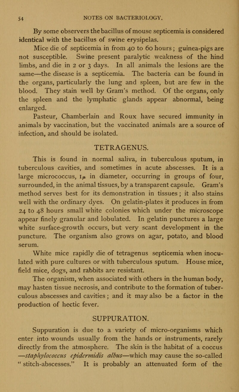 By some observers the bacillus of mouse septicemia is considered identical with the bacillus of swine erysipelas. Mice die of septicemia in from 40 to 60 hours ; guinea-pigs are not susceptible. Swine present paralytic weakness of the hind limbs, and die in 2 or 3 days. In all animals the lesions are the same—the disease is a septicemia. The bacteria can be found in the organs, particularly the lung and spleen, but are few in the blood. They stain well by Gram's method. Of the organs, only the spleen and the lymphatic glands appear abnormal, being enlarged. Pasteur, Chamberlain and Roux have secured immunity in animals by vaccination, but the vaccinated animals are a source of infection, and should be isolated. TETRAGENUS. This is found in normal saliva, in tuberculous sputum, in tuberculous cavities, and sometimes in acute abscesses. It is a large micrococcus, i^ in diameter, occurring in groups of four, surrounded, in the animal tissues, by a transparent capsule. Gram's method serves best for its demonstration in tissues ; it also stains well with the ordinary dyes. On gelatin-plates it produces in from 24 to 48 hours small white colonies which under the microscope appear finely granular and lobulated. In gelatin punctures a large white surface-growth occurs, but very scant development in the puncture. The organism also grows on agar, potato, and blood serum. White mice rapidly die of tetragenus septicemia when inocu- lated with pure cultures or with tuberculous sputum. House mice, field mice, dogs, and rabbits are resistant. The organism, when associated with others in the human body, may hasten tissue necrosis, and contribute to the formation of tuber- culous abscesses and cavities; and it may also be a factor in the production of hectic fever. SUPPURATION. Suppuration is due to a variety of micro-organisms which enter into wounds usually from the hands or instruments, rarely directly from the atmosphere. The skin is the habitat of a coccus —staphylococcus epidermidis albus—which may cause the so-called  stitch-abscesses. It is probably an attenuated form of the