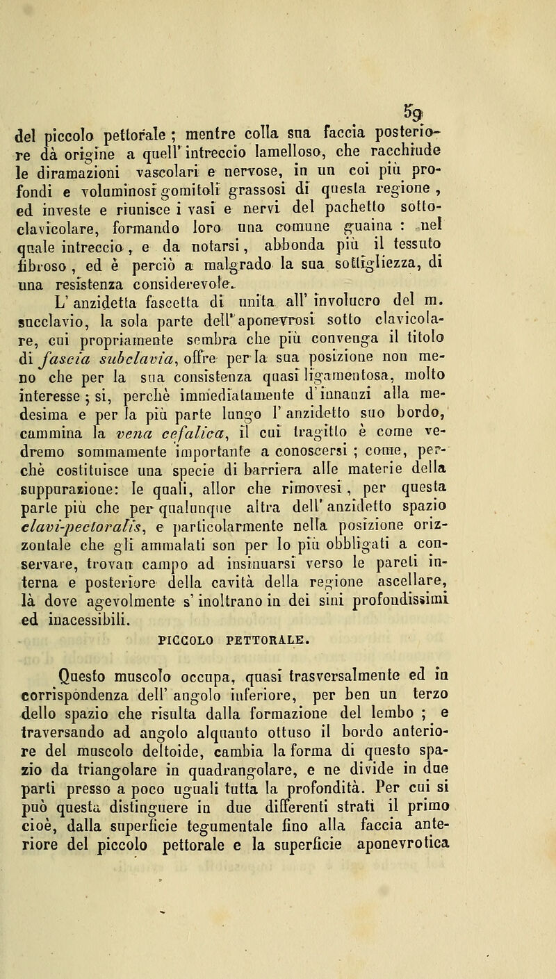 $9 del piccolo pettorale ; mentre colla sna faccia posterie- re dà origine a queir intreccio lamelloso, che racchiude le diramazioni vascolari e nervose, in un coi più pro- fondi e voluminosi gomitoli grassosi di questa regione, ed investe e riunisce i vasi e nervi del pachetto sotto- clavicolare, formando loro una comune guaina : nel quale intreccioT e da notarsi, abbonda più il tessuto fibroso , ed è perciò a malgrado la sua sottigliezza, di una resistenza considerevole. L' anzidetta fascetta di unita all' involucro del m. succlavio, la sola parte dell' aponeurosi sotto clavicola- re, cui propriamente sembra che più convenga il titolo ài fascia subclavia, offre perla sua posizione non me- no che per la sua consistenza quasi ligamentosa, molto interesse ; si, perchè immediatamente d'innanzi alla me- desima e perla più parte lungo l'anzidetto suo bordo, cammina la vena cefalica, il cui tragitto è come ve- dremo sommamente importante a conoscersi ; come, per- chè costituisce una specie di barriera alle materie della suppurazione: le quali, allor che rimovesi, per questa parte più che per qualunque altra dell'anzidetto spazio clavi-pectoralìs, e particolarmente nella posizione oriz- zontale che gli ammalati son per lo più obbligati a con- servare, trovati campo ad insinuarsi verso le pareli in- terna e posteriore della cavità della regione ascellare, là dove agevolmente s'inoltrano in dei sini profondissimi ed inacessibili. PICCOLO PETTORALE. Questo muscolo occupa, quasi trasversalmente ed ia corrispondenza dell' angolo inferiore, per ben un terzo dello spazio che risulta dalla formazione del lembo ; e traversando ad angolo alquanto ottuso il bordo anterio- re del muscolo deltoide, cambia la forma di questo spa- zio da triangolare in quadrangolare, e ne divide in due parti presso a poco uguali tutta la profondità. Per cui si può questa distinguere in due differenti strati il primo cioè, dalla superficie tegumentale fino alla faccia ante- riore del piccolo pettorale e la superfìcie aponevrotica