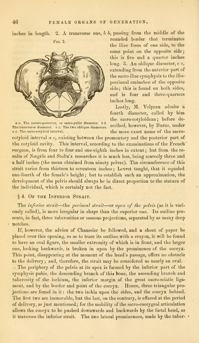 inches in length. 2 Fig. 2 a a. The antero-posterior, or sacro-pubic diameter, b b The transverse diameter, c c. The two oblique diameters a c. The sacro-cotyloid interval. A transverse one, b b, passing from the middle of the rounded border that terminates the iliac fossa of one side, to the same point on the opposite side; this is five and a quarter inches long. 3. An oblique diameter, c c, extending from the anterior part of the sacro-iliac symphysis to the ilio- pectineal eminence of the opposite side; this is found on both sides, and is four and three-quarters inches long. Lastly, M. Velpeau admits a fourth diameter, called by him the sacro-cotyloidean; before de- scribed, however, by Burns, under the more exact name of the sacro- cotyloid interval a c, existing between the promontory and the posterior part of the cotyloid cavity. This interval, according to the examinations of the French surgeon, is from four to four and one-eighth inches in extent; but from there- suits of Naegele and Stoltz's researches it is much less, being scarcely three and a half inches (the mean obtained from ninety pelves). The circumference of this strait varies from thirteen to seventeen inches; Levret taught, that it equaled one-fourth of the female's height; but to establish such an approximation, the development of the pelvis should always be in direct proportion to the stature of the individual, which is certainly not the fact. § 4. Of the Inferior Strait. The inferior strait—the perineal strait—or apex of the pelvis (as it is vari- ously called), is more irregular in shape than the superior one. Its outline pre- sents, in fact, three tuberosities or osseous projections, separated by as many deep notches. If, however, the advice of Chaussier be followed, and a sheet of paper be placed over this opening, so as to trace its outline with a crayon, it will be found to have an oval figure, the smaller extremity of which is in front, and the larger one, looking backwards, is broken in upon by the prominence of the coccyx. This point, disappearing at the moment of the head's passage, offers no obstacle to the delivery; and, therefore, the strait may be considered as nearly an oval. i« The periphery of the pelvis at its apex is formed by the inferior part of the symphysis pubis, the descending branch of tlm bone, the ascending branch and tuberosity of the ischium, the inferior margin of the great sacro-sciatic liga- ment; and by the border and point of the coccyx. Hence, three triangular pro- jections are found in it: the two ischia upon the sides, and the coccyx behind. The first two are immovable, but the last, on the contrary, is effaced at the period of delivery, as just mentioned; for the mobility of the sacro-coccygeal articulation allows the coccyx to be pushed downwards aud backwards by the fetal head, as it traverses the inferior strait. The two lateral prominences, made by the tuber-