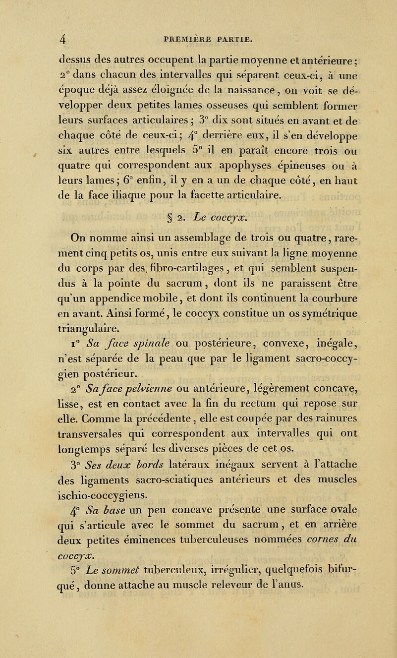 tîessus des autres occupent la partie moyenne et antérieure ; 2° dans chacun des intervalles qui séparent ceux-ci, à une époque déjà assez éloignée de la naissance, on voit se dé- velopper deux petites lames osseuses qui semblent former leurs surfaces articulaires ; 3° dix sont situés en avant et de chaque côté de ceux-ci; 4° derrière eux, il s'en développe six autres entre lesquels 5° il en paraît encore trois ou quatre qui correspondent aux apophyses épineuses ou à leurs lames; 6° enfin, il y en a un de chaque côté, en haut de la face iliaque pour la facette articulaire. § 2. Le coccyx. On nomme ainsi un assemblage de trois ou quatre, rare- ment cinq petits os, unis entre eux suivant la ligne moyenne du corps par des, fibro-cartilages, et qui semblent suspen- dus à la pointe du sacrum, dont ils ne paraissent être qu'un appendice mobile, et dont ils continuent la courbure en avant. Ainsi formé, le coccyx constitue un os symétrique triangulaire. 1° Sa face spinale ou postérieure, convexe, inégale, n'est séparée de la peau que par le ligament sacro-coccy- gien postérieur. 2° Sa face pelvienne ou antérieure, légèrement concave, lisse, est en contact avec la fin du rectum qui repose sur elle. Comme la précédente, elle est coupée par des rainures transversales qui correspondent aux intervalles qui ont longtemps séparé les diverses pièces de cet os. 3° Ses deux bords latéraux inégaux servent à l'attache des ligaments sacro-sciatiques antérieurs et des muscles ischio-coccygiens. 4° Sa base un peu concave présente une surface ovale qui s'articule avec le sommet du sacrum, et en arrière deux petites éminences tuberculeuses nommées cornes du coccyx. 5° Le sommet tuberculeux, irrégvdier, quelquefois bifur- qué , donne attache au muscle releveur de l'anus.