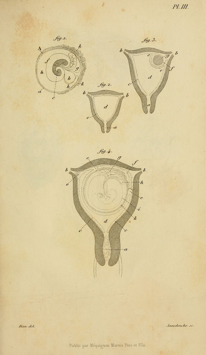 ./W'^- J h ^^e$*c^ y/- v^