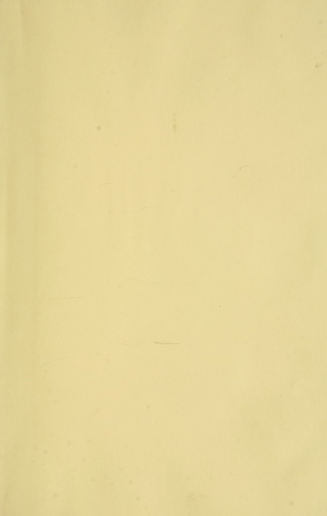 digitised image 3