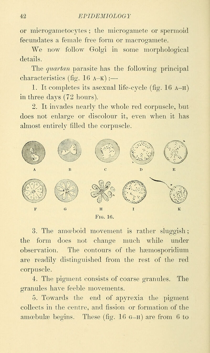 or microgametocytes ; the microgamete or spermoid fecundates a female free form or macrogamete. We now follow Grolgi in some morphological details. The quartan parasite has the following principal characteristics (fig. 16 a-k) :— 1. It completes its asexual life-cycle (fig. 16 a-h) in three days (72 hours). 2. It invades nearly the whole red corpuscle, but does not enlarge or discolour it, even when it has almost entirely filled the corpuscle. 3. The amoeboid movement is rather sluggish; the form does not change much while under observation. The contours of the hgemosporidium are readily distinguished from the rest of the red corpuscle. 4. The pigment consists of coarse granules. The granules have feeble movements. 5. Towards the end of apyrexia the pigment collects in the centre, and fission or formation of the amoebulse begins. These (fig. 16 g-h) are from 6 to