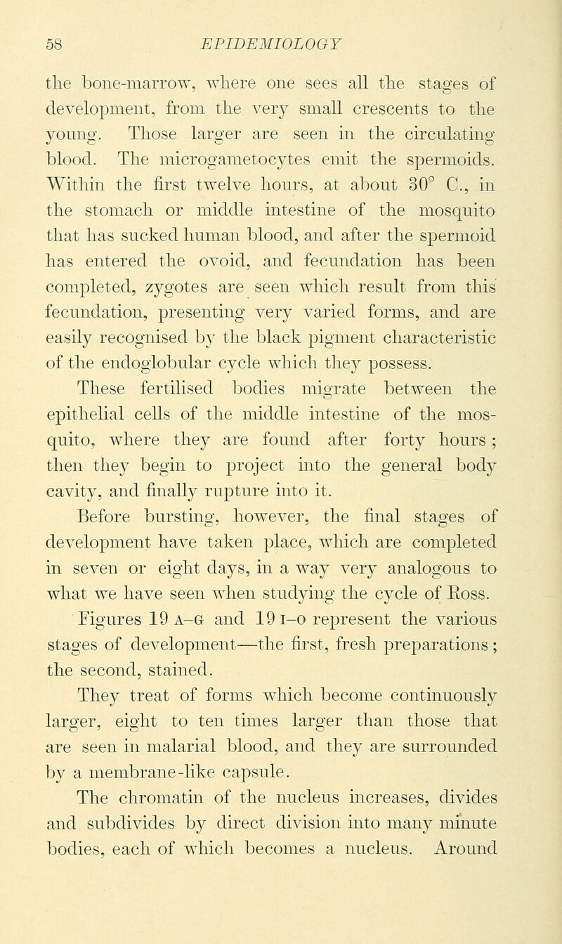 tlie bone-marrow, where one sees all tlie stages of development, from tlie very small crescents to tlie young. Those larger are seen in the circulating blood. The microgametocytes emit the spermoids. Within the first twelve hours, at about 30° C, in the stomach or middle intestine of the mosquito that has sucked human blood, and after the spermoid has entered the ovoid, and fecundation has been completed, zygotes are seen which result from this fecundation, presenting very varied forms, and are easily recognised by the black pigment characteristic of the endoglobular cycle which they possess. These fertilised bodies migrate between the epithelial cells of the middle intestine of the mos- quito, where they are found after forty hours ; then they begin to project into the general body cavity, and finally rupture into it. Before bursting, however, the final stages of development have taken place, which are completed in seven or eight days, in a way very analogous to what we have seen when studying the cycle of Eoss. Figures 19 a-g and 19 i-o re|)resent the various stages of development—the first, fresh preparations ; the second, stained. They treat of forms which become continuously larger, eight to ten times larger than those that are seen in malarial blood, and they are surrounded by a membrane-like capsule. The chromatin of the nucleus increases, divides and subdivides by direct division into many minute bodies, each of which becomes a nucleus. Around