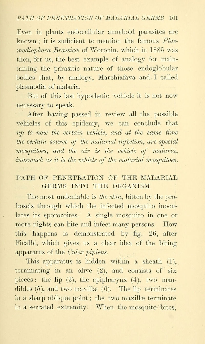 Even in plants endocellular amoeboid parasites are known ; it is sufficient to mention the famous Plas- modiophora Brassicce of Woronin, which, in 1885 was then, for us, the best example of analogy for main- taining the parasitic nature of those endoglobular bodies that, by analogy, Marchiafava and I called Plasmodia of malaria. But of this last hypothetic vehicle it is not now necessary to speak. After having passed in review all the possible vehicles of this epidemy, we can conclude that up to now the certain vehicle, and at the same time the certain source of the malarial infection, are special mosquitoes, and the air is the vehicle of malaria, inasmuch as it is the vehicle of the malarial mosquitoes. PATH OF PENETEATION OF THE MALAEIAL GEEMS INTO THE OEGANISM The most undeniable is the skin, bitten by the pro- boscis through which the infected mosquito inocu- lates its sporozoites. A single mosquito in one or more nights can bite and infect many persons. How this happens is demonstrated by fig. 26, after Ficalbi, which gives us a clear idea of the biting- apparatus of the Culex pipiens. This apparatus is hidden within a sheath (1), terminating in an olive (2), and consists of six pieces : the lip (3), the epipharynx (4), two man- dibles (5), and two maxillge (6). The lip terminates in a sharp oblique point ; the two maxillEe terminate in a serrated extremity. When the mosquito bites,
