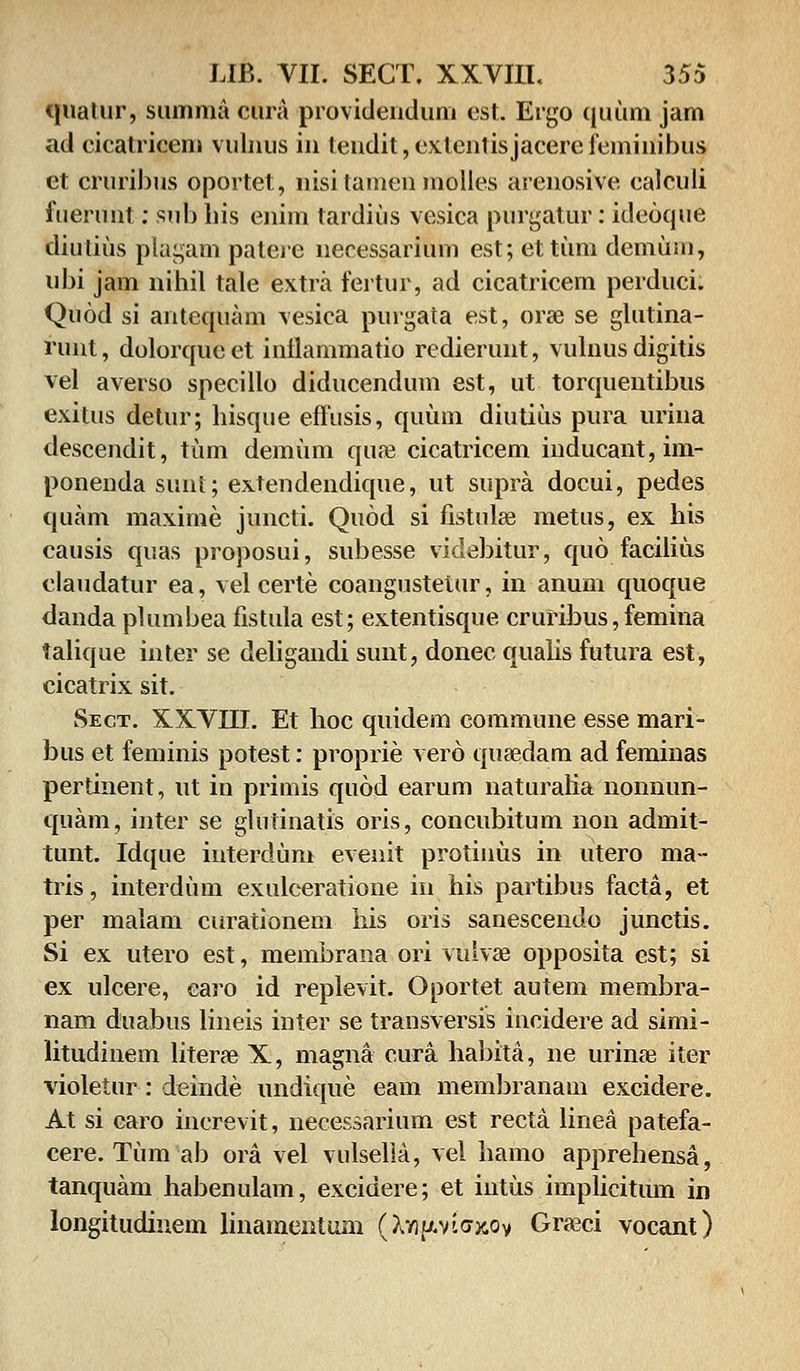 quatur, sumnia cura providendum cst. Ergo quum jam ad cicatricem vulnus in tendit,extentisjacerefeminibus et cruribus oportet, nisi tamen molles arenosive caleuli fuerunt: sub his enim tardius vesica purgatur: ideoque diutius plagam patere necessarium est; ettum demuin, nbi jam nihil tale extra fertur, ad cicatricem perduci. Quod si antequam vesica purgata est, orae se glutina- runt, dolorqucet inllammatio redierunt, vulnus digitis vel averso speeillo diducendum est, ut torquentibus exitus detur; hisque effusis, quum diutius pura urina descendit, tum demum qiu-e cicatricem inducant,im- ponenda sunt; extendendique, ut supra docui, pedes quain maxime juncti. Quod si fistidse metus, ex his causis quas proposui, subesse videbitur, quo facilius claudatur ea, vel certe coangusteiur, in anum quoque danda plumbea fistula est; extentisque cruribus, femina talique inter se deligandi sunt, donec qualis futura est, cicatrix sit. Sect. XKVIII. Et hoc quidem commune esse mari- bus et feminis potest: proprie vero quaedam ad feminas pertinent, ut in primis quod earum naturalia nonnun- quam, inter se glulinatis oris, concubitum non admit- tunt. Idque iuterdum evenit protinus in utero ma- tris, interdum exulceratione in his partibus facta, et per malam curationem his oris sanescendo junctis. Si ex utero est, membrana ori vulvae opposita est; si ex ulcere, caro id replevit. Oportet autem membra- nam duabus lineis inter se transversis incidere ad simi- litudinem literae X, magna cura habita, ne urinae iter violetur : deinde undique eam membranam excidere. At si caro increvit, necessarium est recta linea patefa- cere. Tum ab ora vel vulselta, vel hamo apprehensa, tanquam habenulam, excidere; et iutus implicitum in longitudiuem linamentum (Xviu.viaxov Graeci vocant)