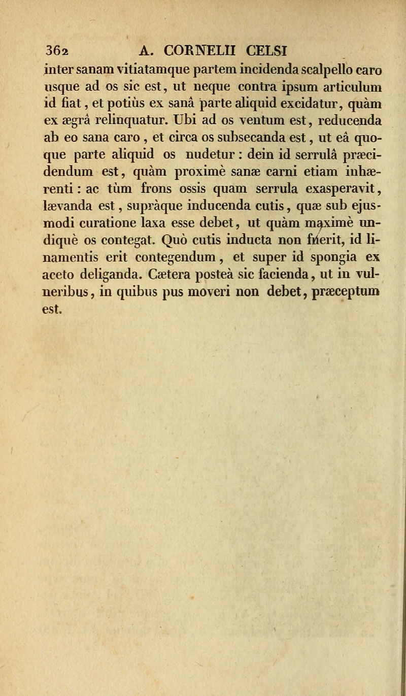 inter sanam vitiatamque partem incidenda scalpello caro usque ad os sic est, ut neque contra ipsum articulum id fiat, et potius ex sana parte aliquid excidatur, quam ex segra relinquatur. Ubi ad os ventum est, reducenda ab eo sana caro , et circa os subsecanda est, ut ea quo- que parte aliquid os nudetur: dein id serrula praeci- dendum est, quam proxime sanae carni etiam inhse- renti: ac tum frons ossis quam serrula exasperavit, laevanda est, supraque inducenda cutis, quae sub ejus- modi curatione laxa esse debet, ut quam maxime un- dique os contegat. Quo cutis inducta non ftierit, id li- namentis erit contegendum, et super id spongia ex aceto deliganda. Caetera postea sic facienda, ut in vul- neribus, in quibus pus moveri non debet, prseceptum est.