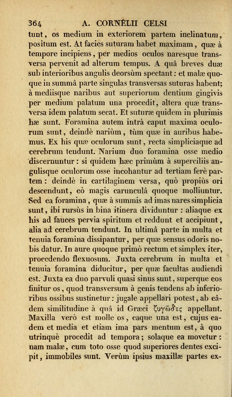 tunt, os medium iii exteriorem partem inclinatum, positum est. At facies suturam habet maximam, quae a tempore incipiens, per medios oculos naresque trans- versa pervenit ad alterum tempus. A qua breves duae sub interioribus angulis deorsum spectant: et malae quo- que in summa parte singulas transversas suturas habent; a mediisque naribus aut superiorum dentium gingivis per medium palatum una procedit, altera quae trans- versa idem palatum secat. Et suturae quidem in plurimis hae sunt. Foramina autem intra caput maxima oculo- rum sunt, deinde narium, tum quae in auribus habe- mus. Ex his quae oculorum sunt, recta simpliciaque ad cerebrum tendunt. Narium duo foramina osse medio discernuntur: si quidem haec primum a superciliis an- gulisque oculorum osse incohantur ad tertiam fere par- tem: deinde in cartilaginem versa, quo propius ori descendunt, eo magis caruncula quoqne molliuntur. Sed ea foramina, quae a summis ad imas nares simplicia sunt, ibi rursus in bina itinera dividuntur : aliaque ex his ad fauces pervia spiritum et reddunt et accipiunt, alia ad cerebrum tendunt. In ultima parte in multa et tenuia foramina dissipantur, per quse sensus odoris no- bis datur. In aure quoque primo rectum et simplex iter, procedendo flexuosum. Juxta cerebrum in multa et tenuia foramina diducitur, per quae facultas audiendi est. Juxta ea duo parvuli quasi sinus sunt, superque eos fiuitur os, quod transversum a genis tendens ab inferio- ribus ossibus sustinetur: jugale appellari potest, ab ea- dem similitudine a qua id Graeci ^uyw^sc appellant. Maxilla vero est molle os, eaque una est, cujus ea- dem et media et etiam ima pars mentum est, a quo utrinque procedit ad tempora; solaque ea movetur : nammalae, cum toto osse quod superiores dentes exci- pit, immobiles sunt. Verum ipsius maxillae partes ex-